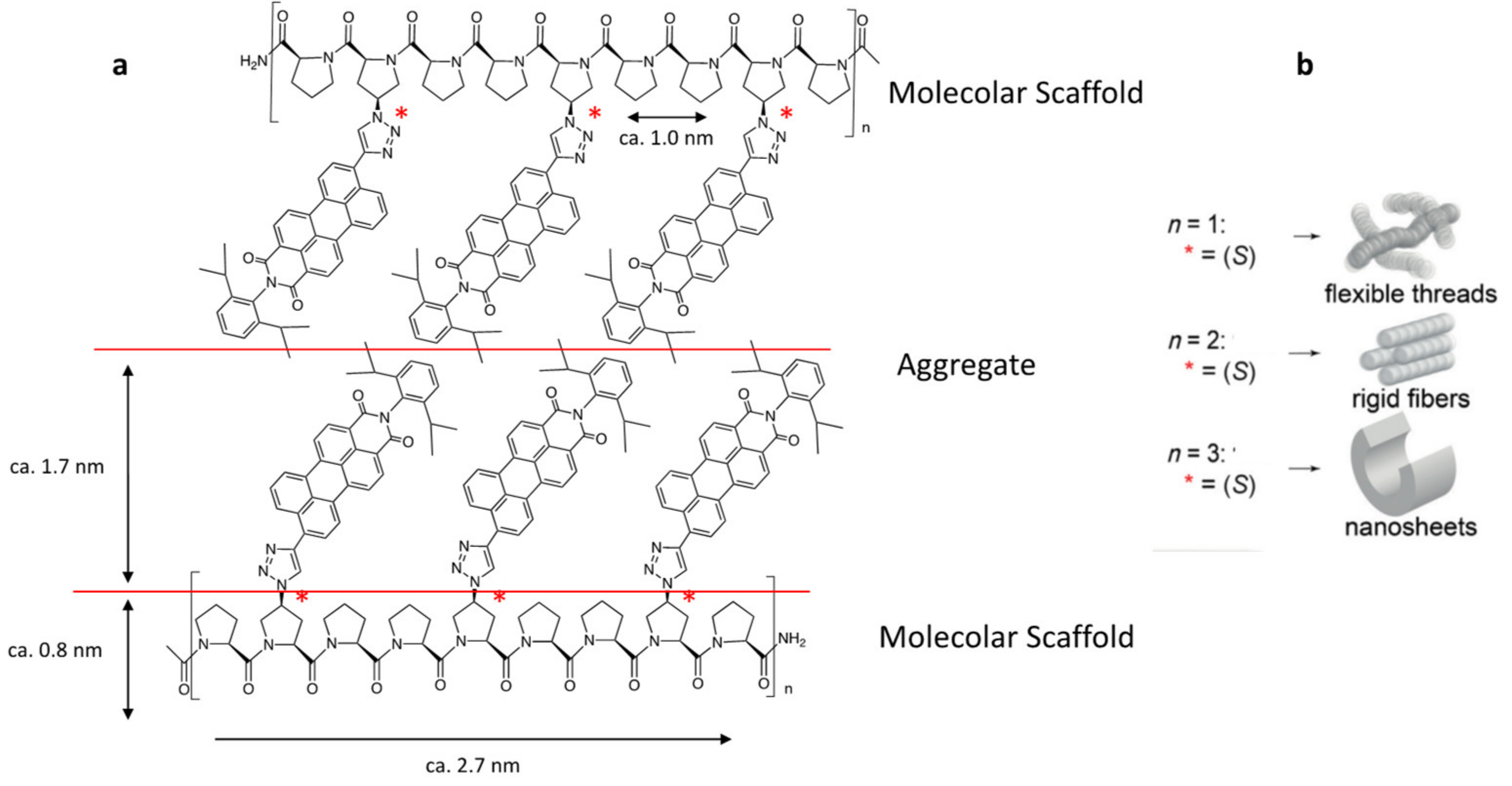 Molecules 26 01219 g003 Molecules 26 01219 g003