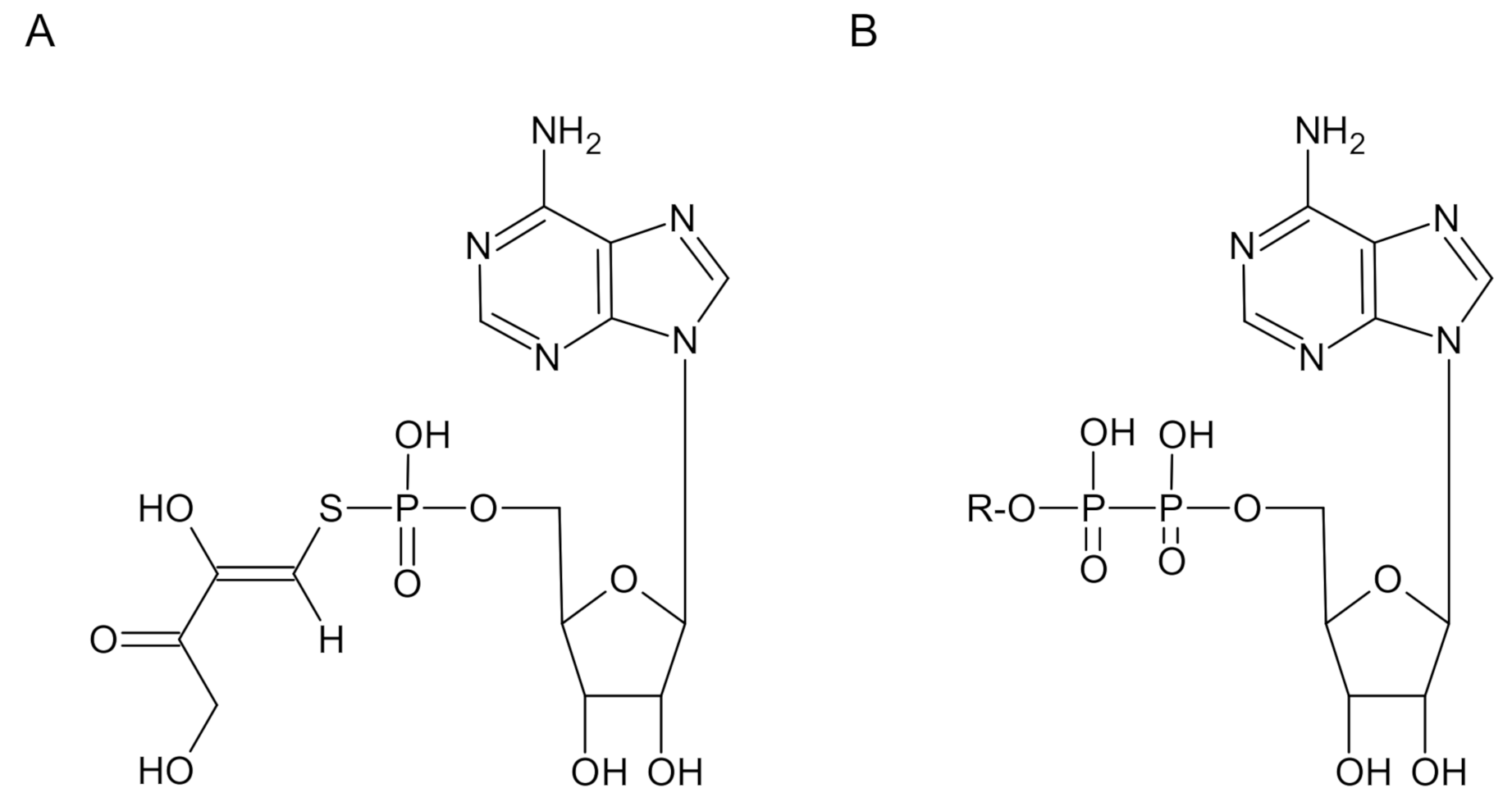 Molecules 26 01222 g001 Molecules 26 01222 g001