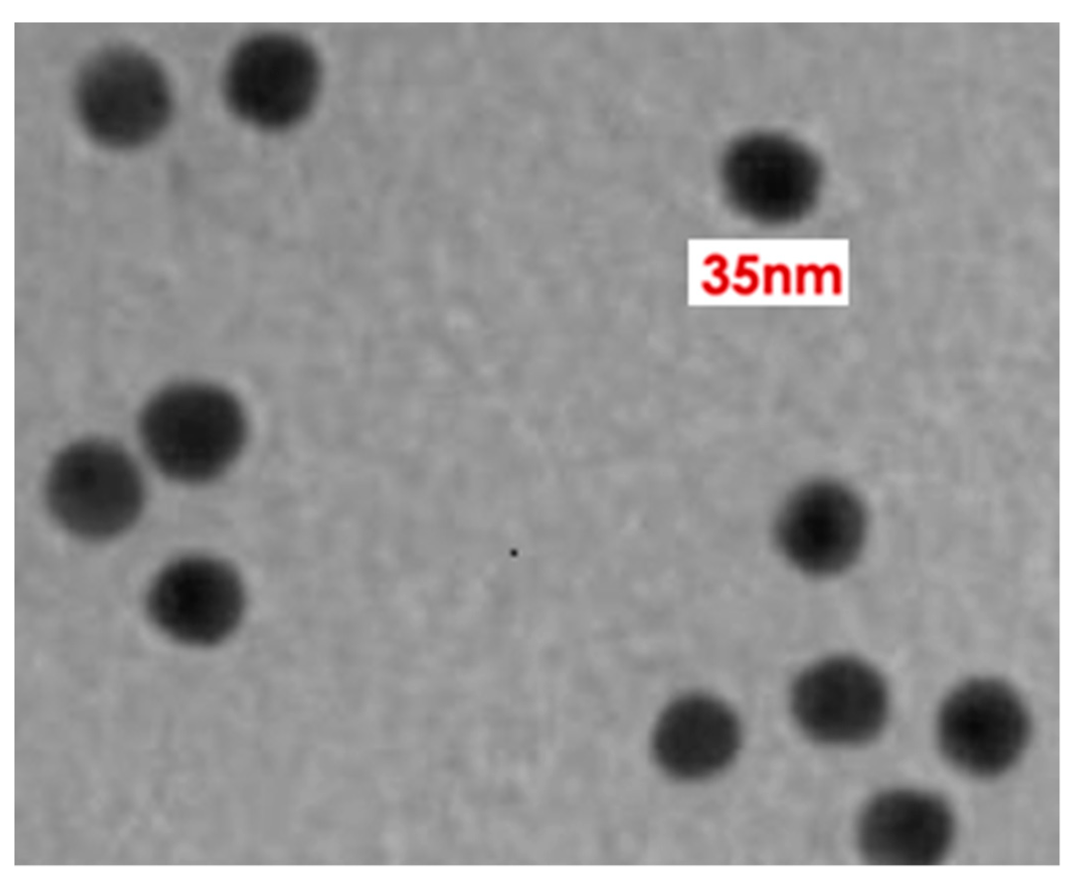 Molecules 26 01226 g004 Molecules 26 01226 g004