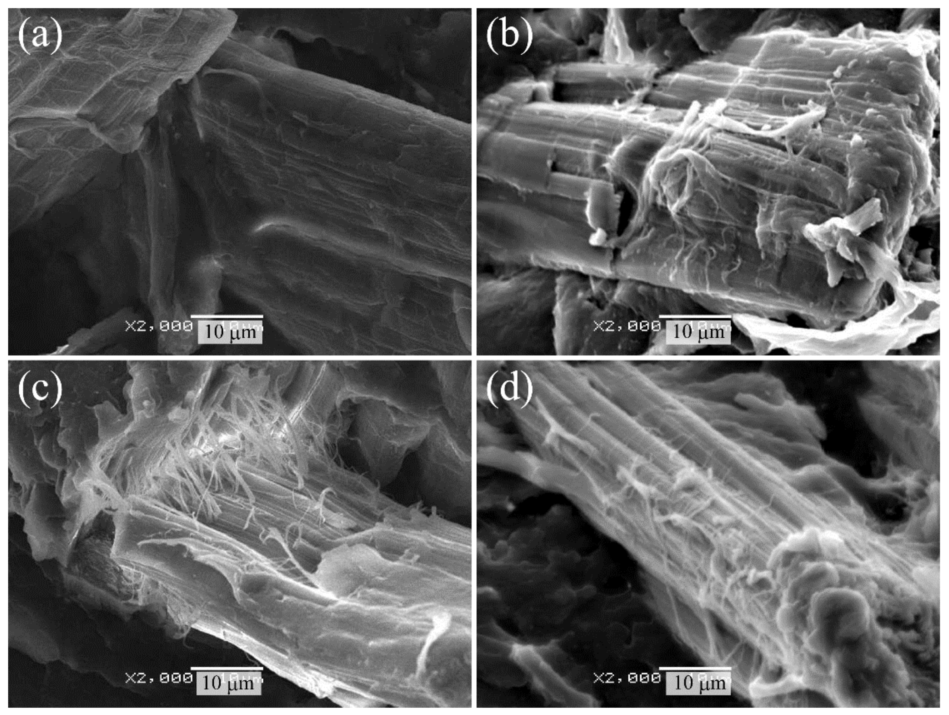 Molecules 26 01228 g002