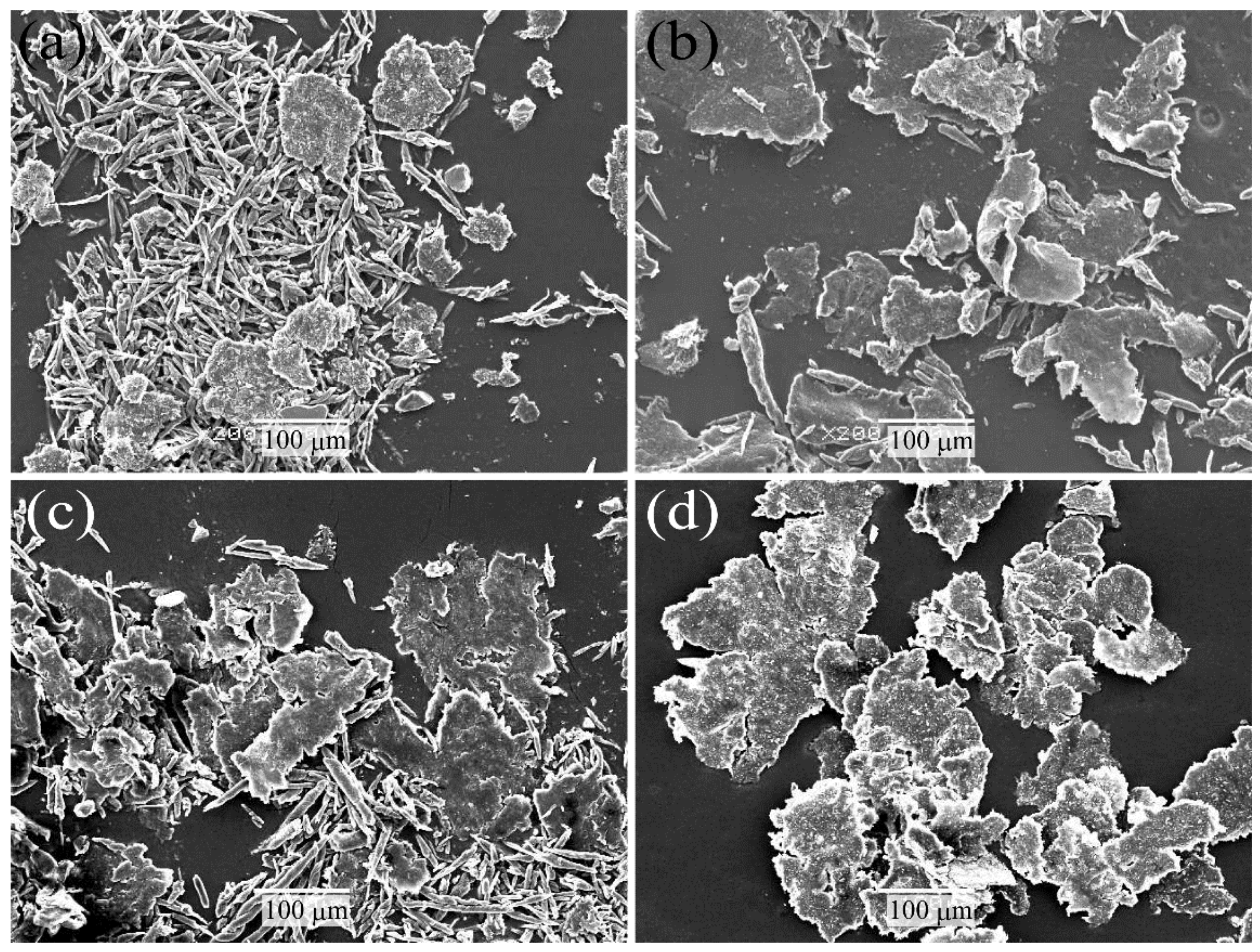 Molecules 26 01228 g010