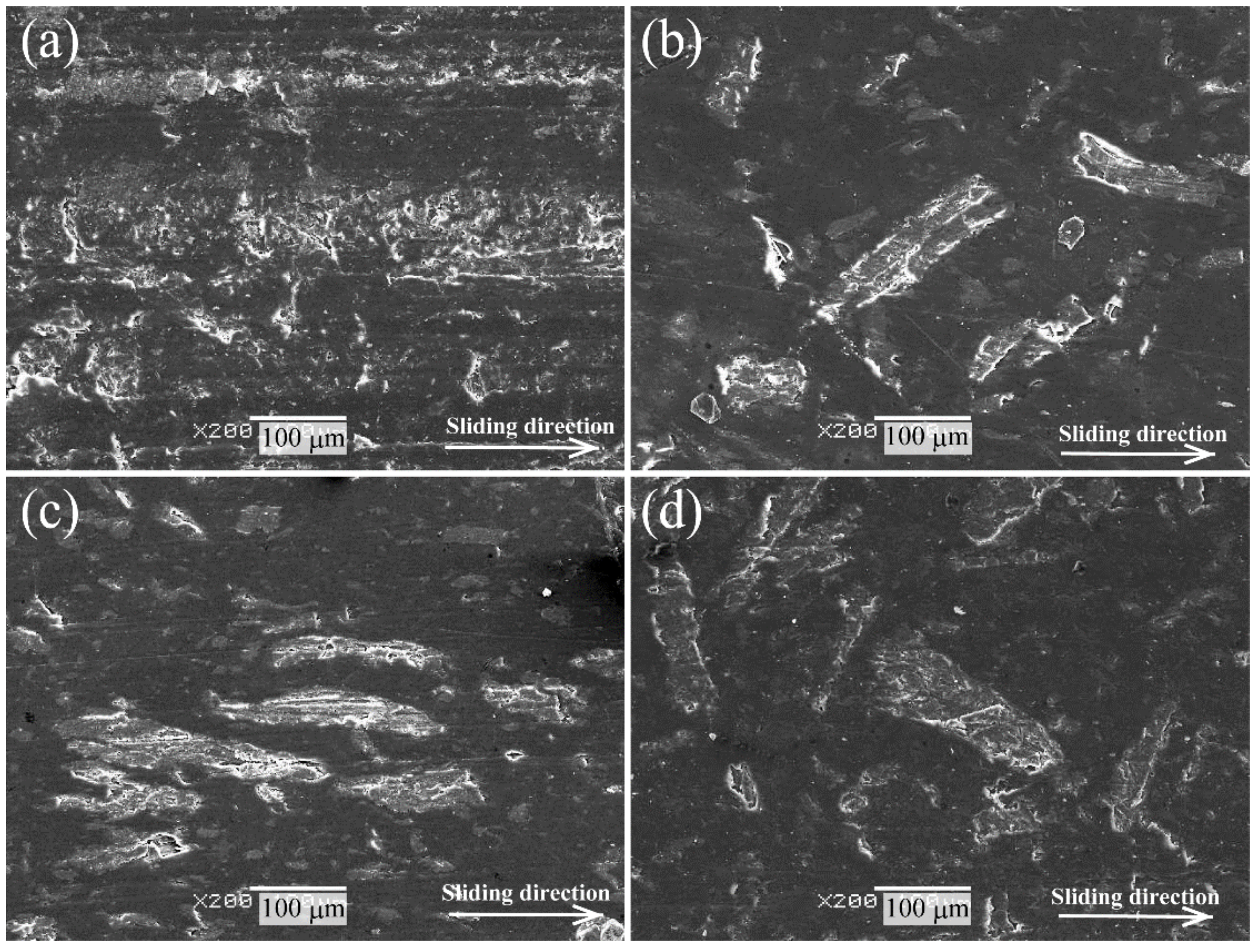 Molecules 26 01228 g012
