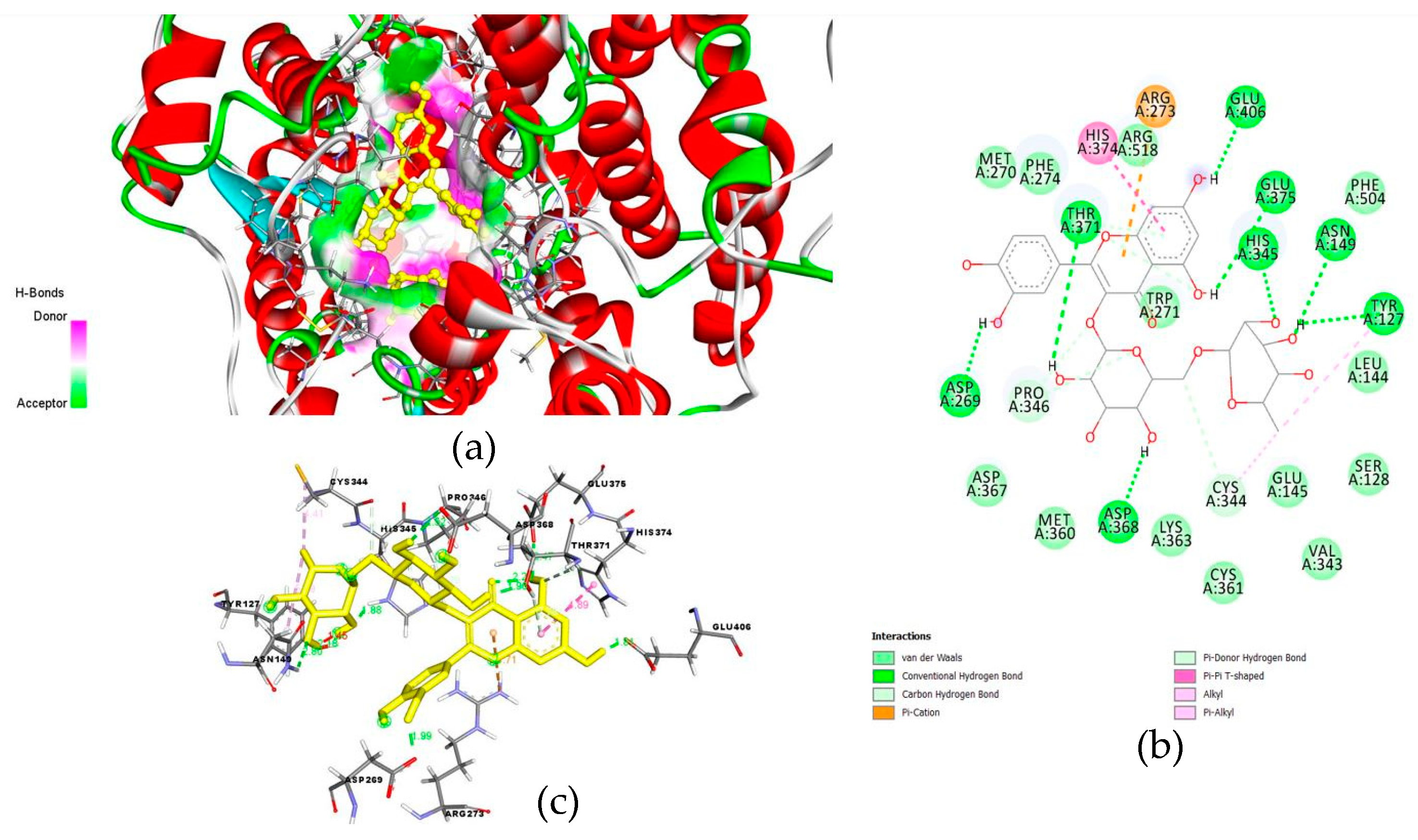Molecules 26 01232 g004