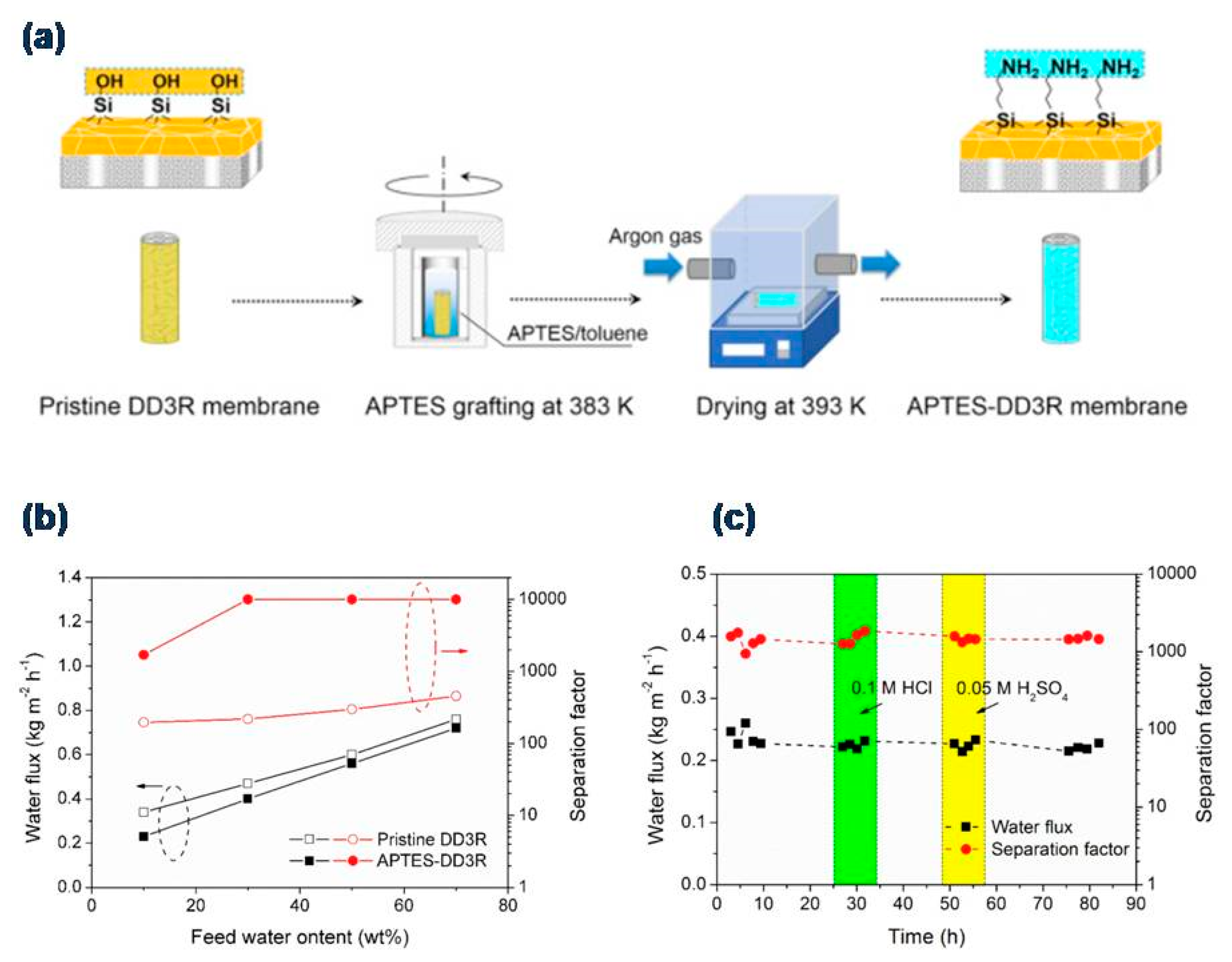 Molecules 26 01242 g003 Molecules 26 01242 g003