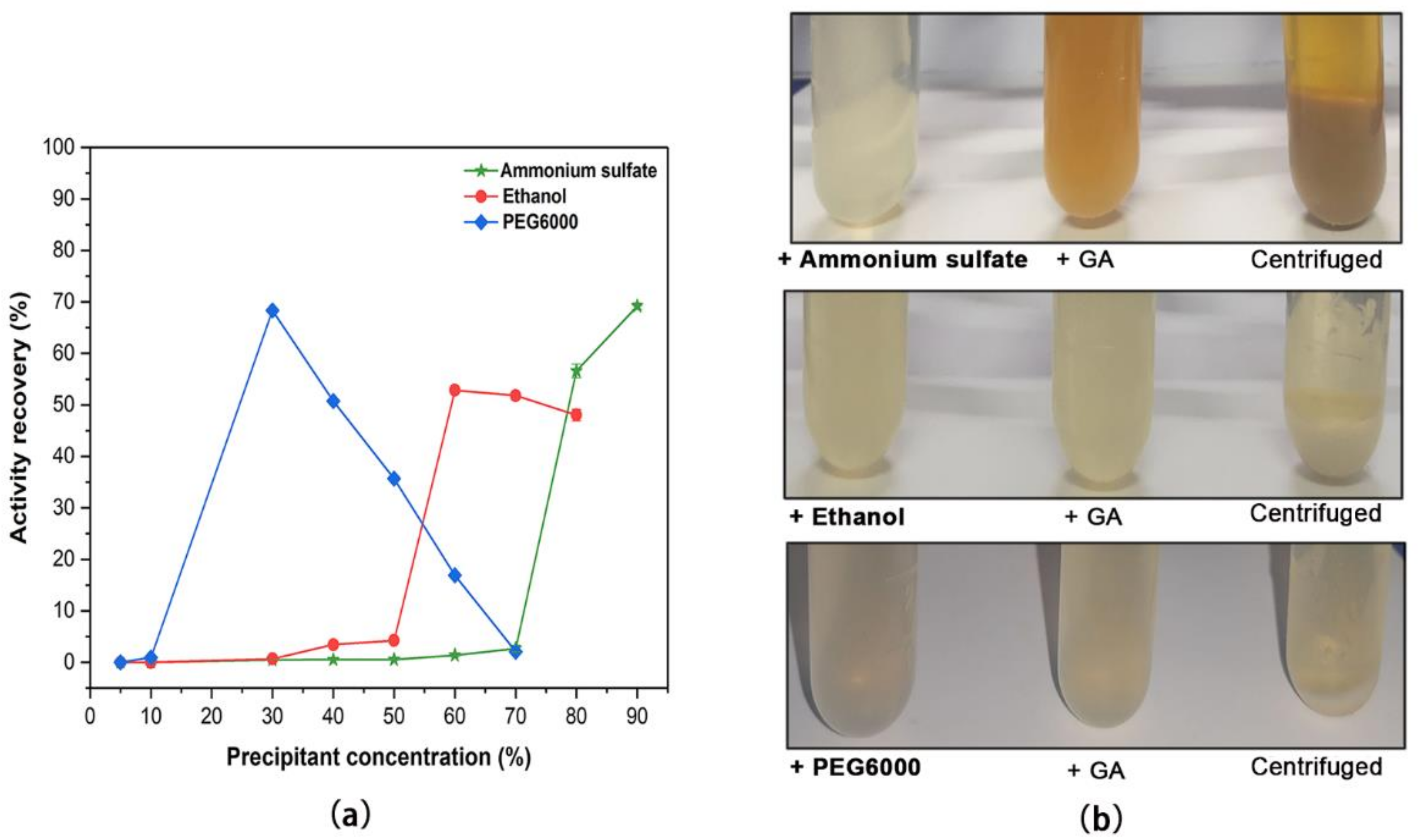 Molecules 26 01248 g001 Molecules 26 01248 g001