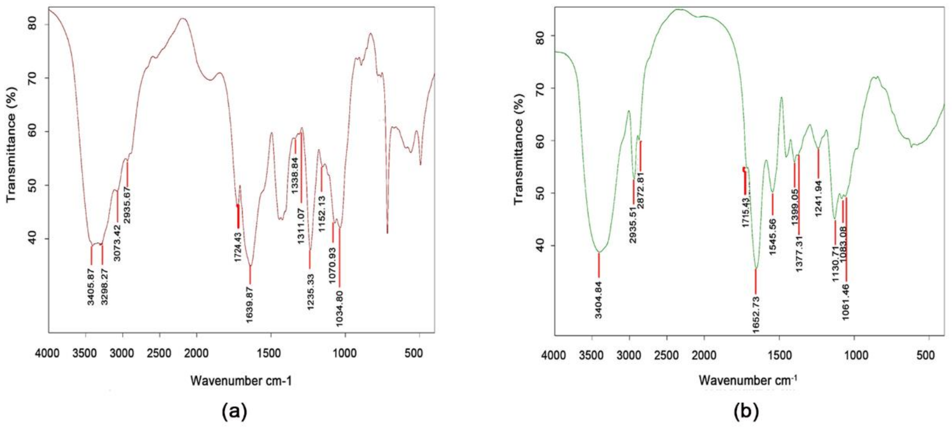 Molecules 26 01248 g002 Molecules 26 01248 g002