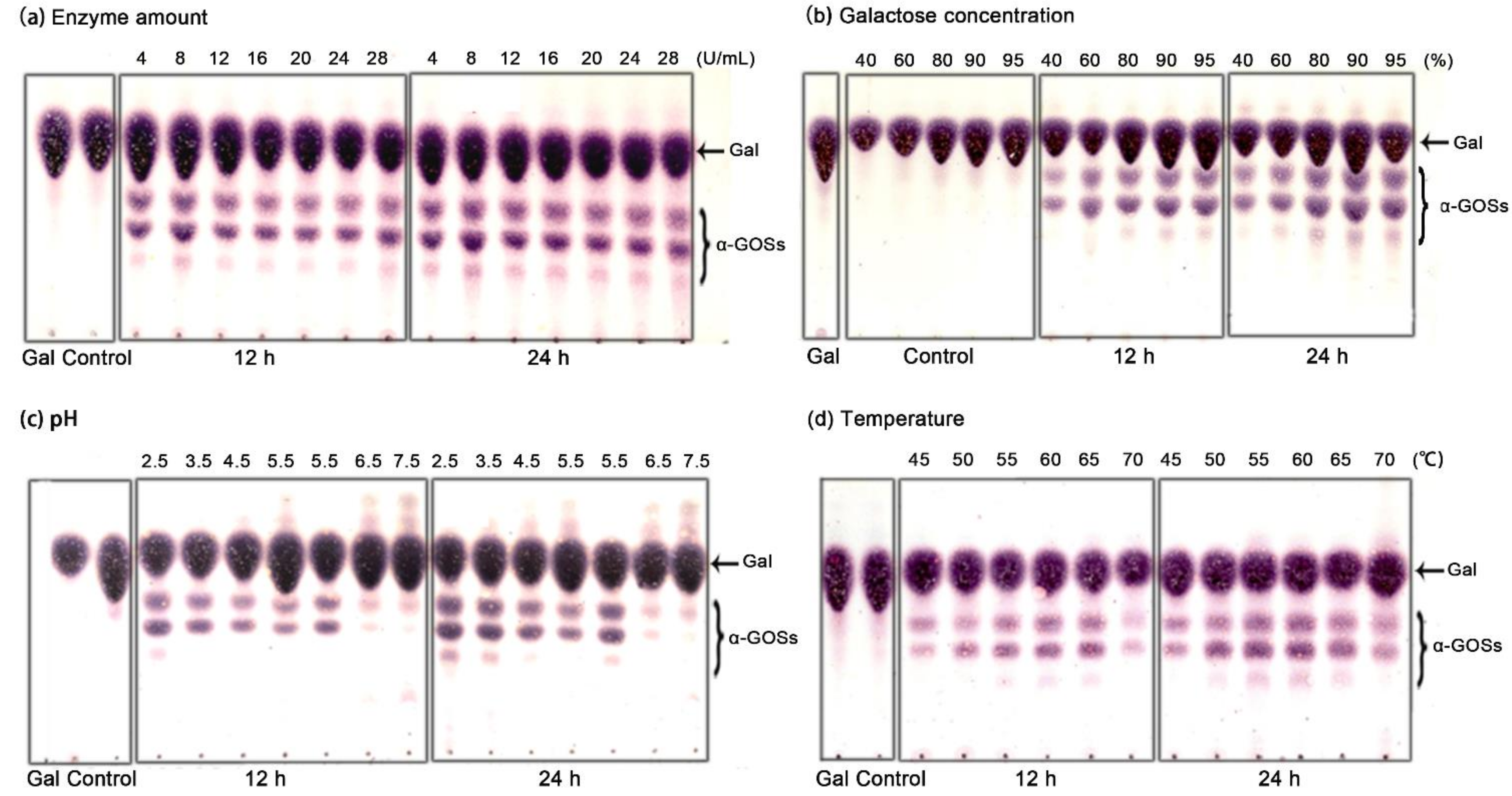 Molecules 26 01248 g005 Molecules 26 01248 g005