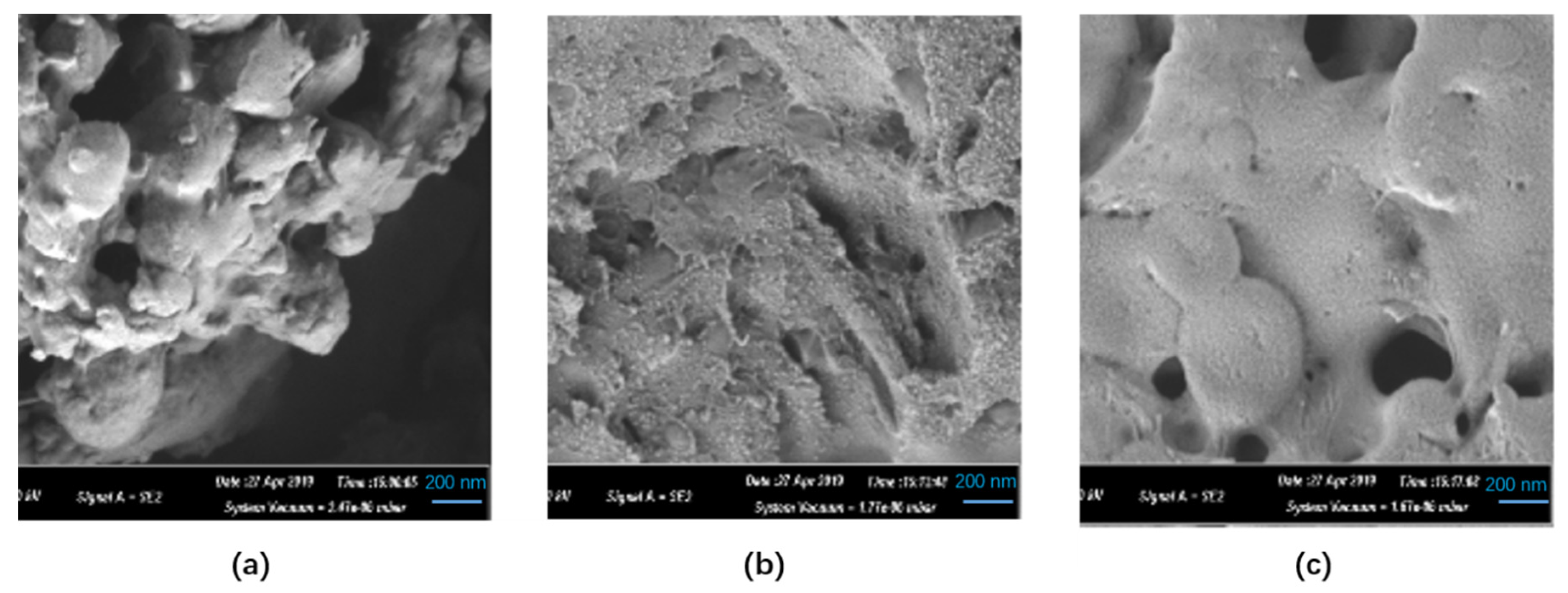 Molecules 26 01248 g0a2 Molecules 26 01248 g0a2