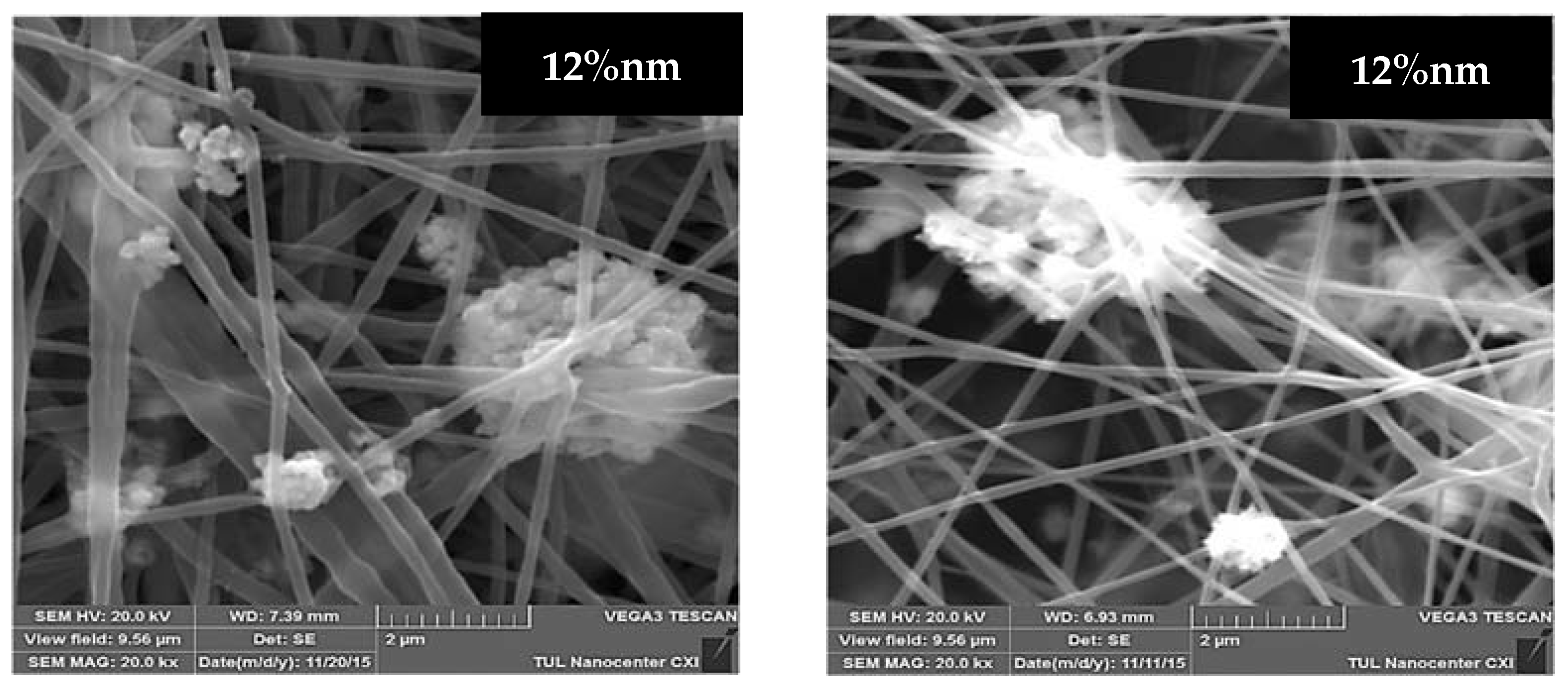 Molecules 26 01255 g004b