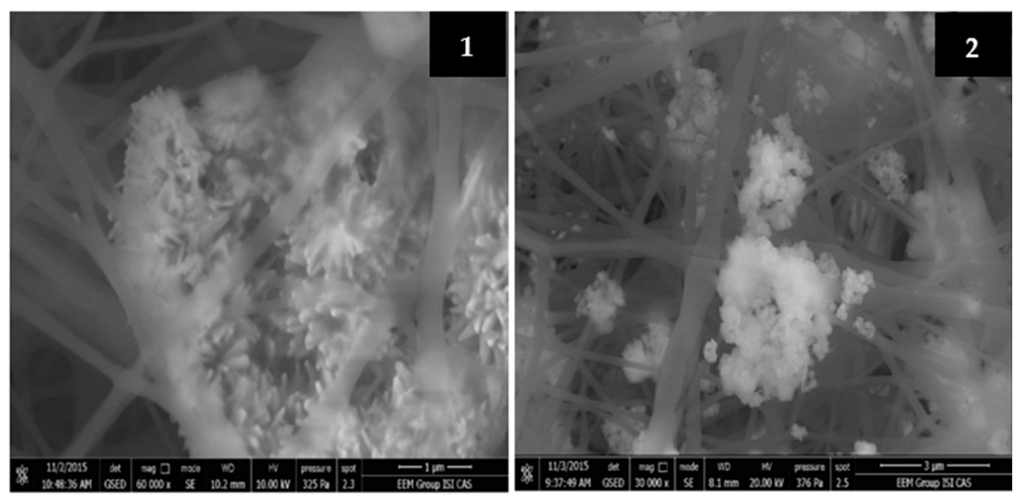 Molecules 26 01255 g005