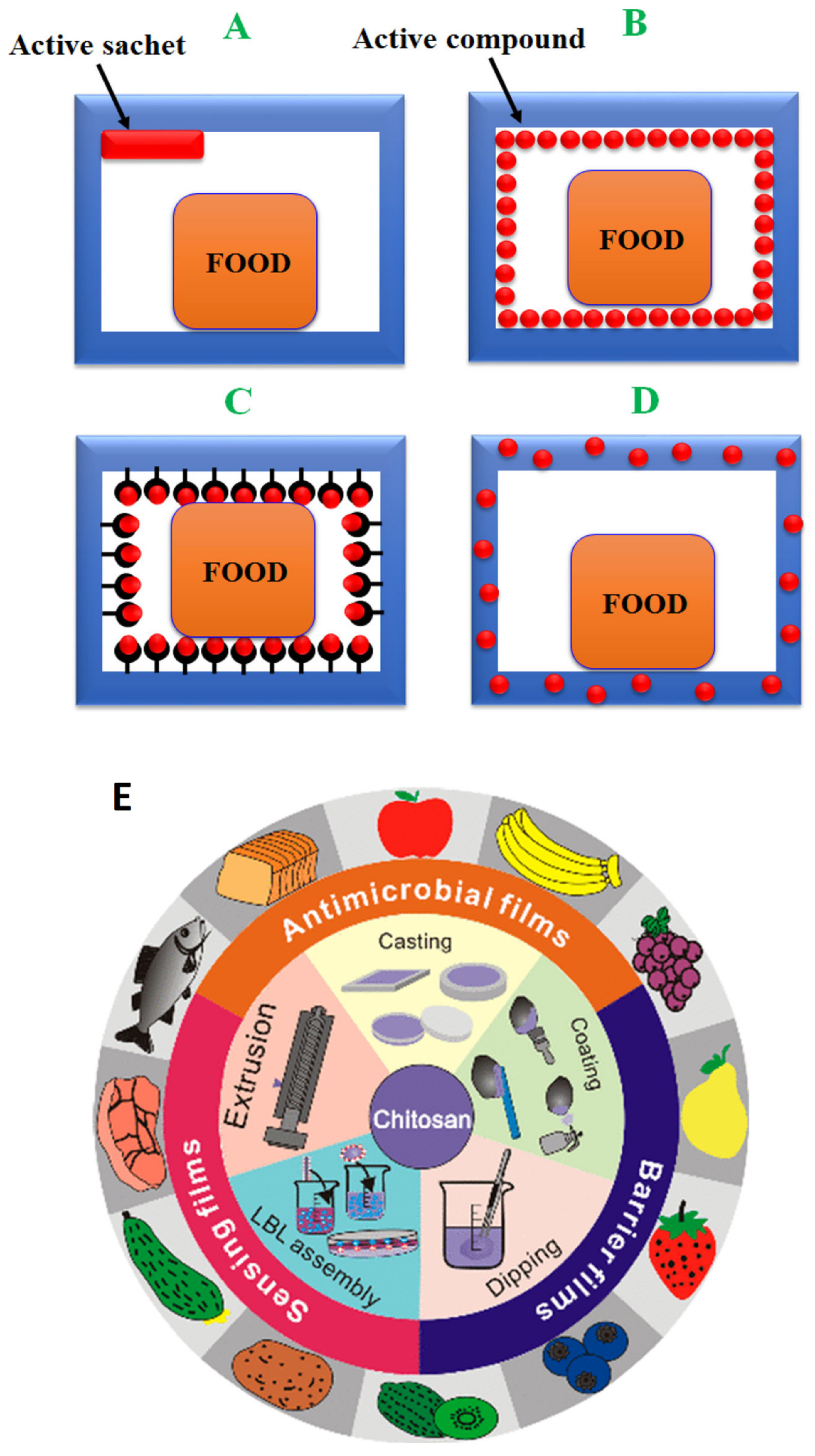 Molecules | Free Full-Text | Progresses in Food Packaging, Food Quality,  and Safety—Controlled-Release Antioxidant and/or Antimicrobial Packaging
