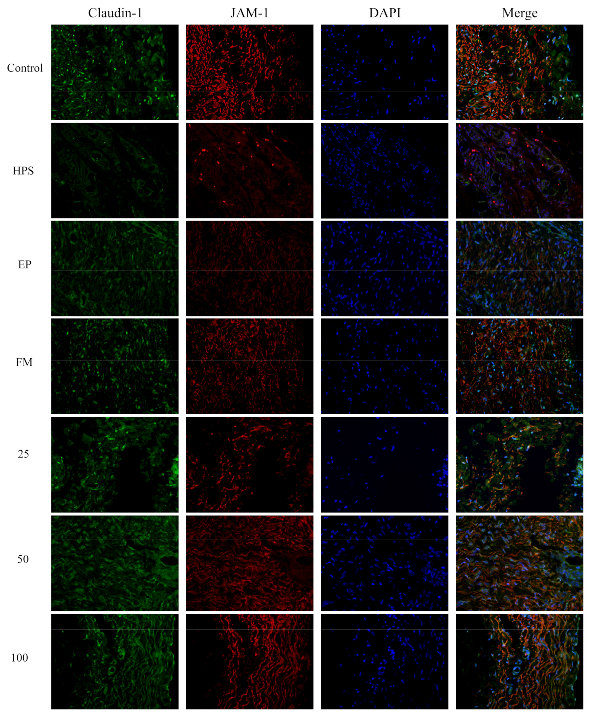 Molecules 26 01268 g005 Molecules 26 01268 g005