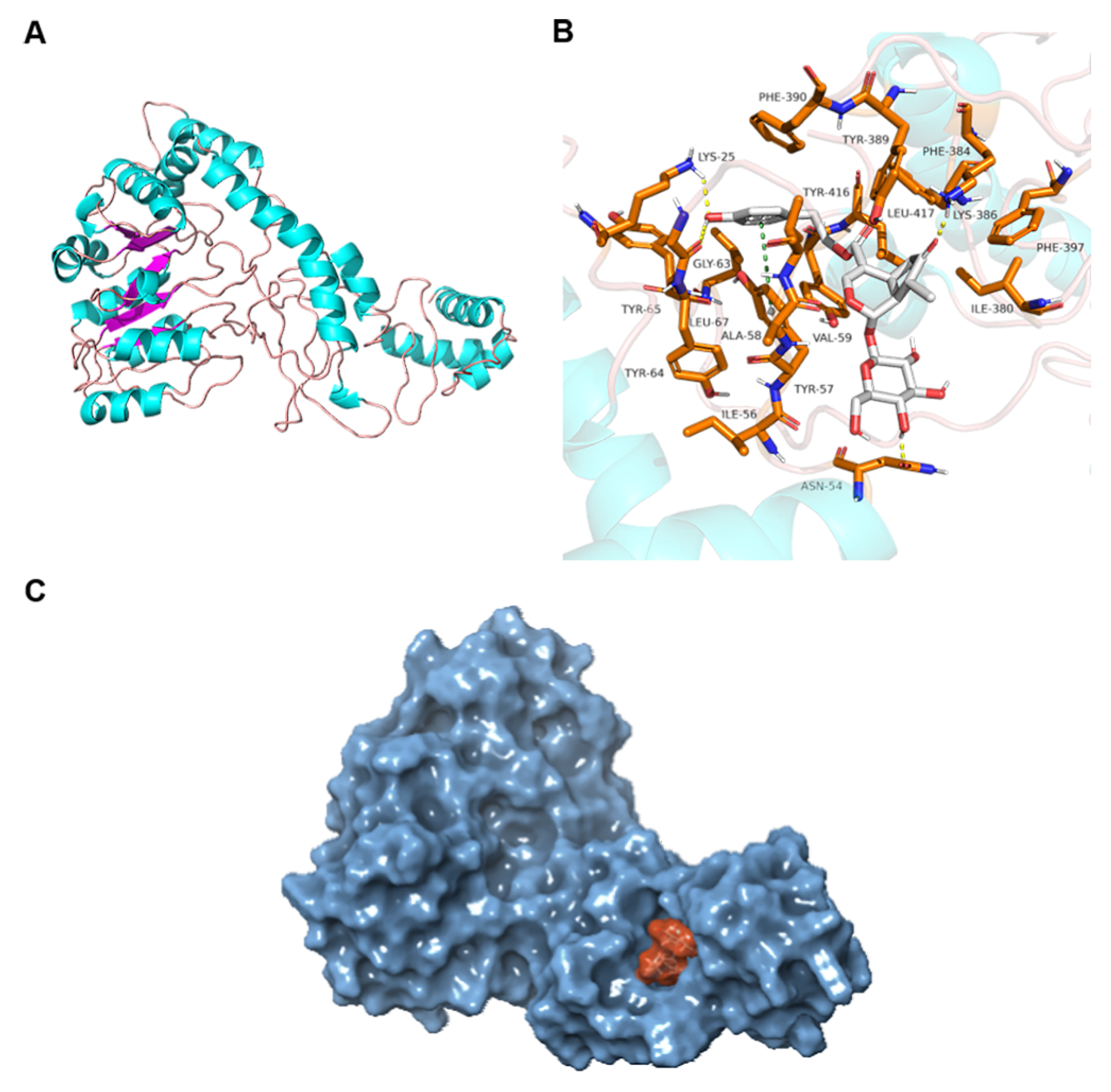 Molecules 26 01295 g008