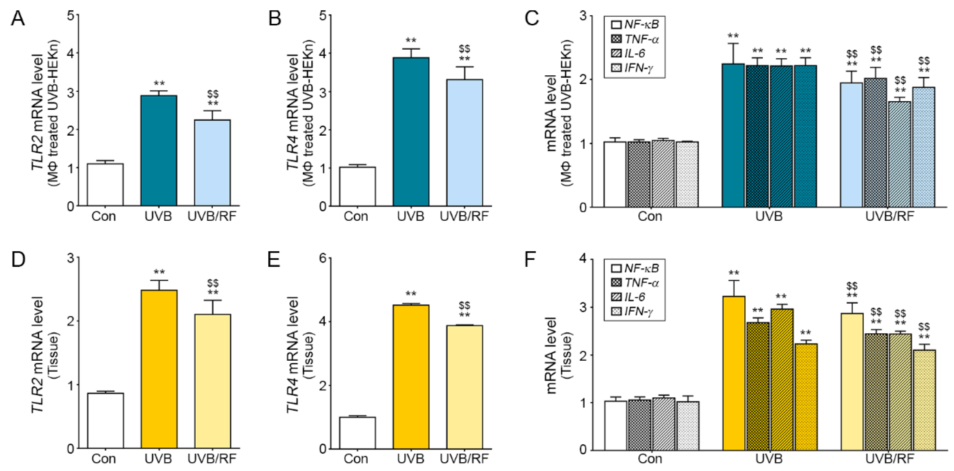 Molecules 26 01297 g003