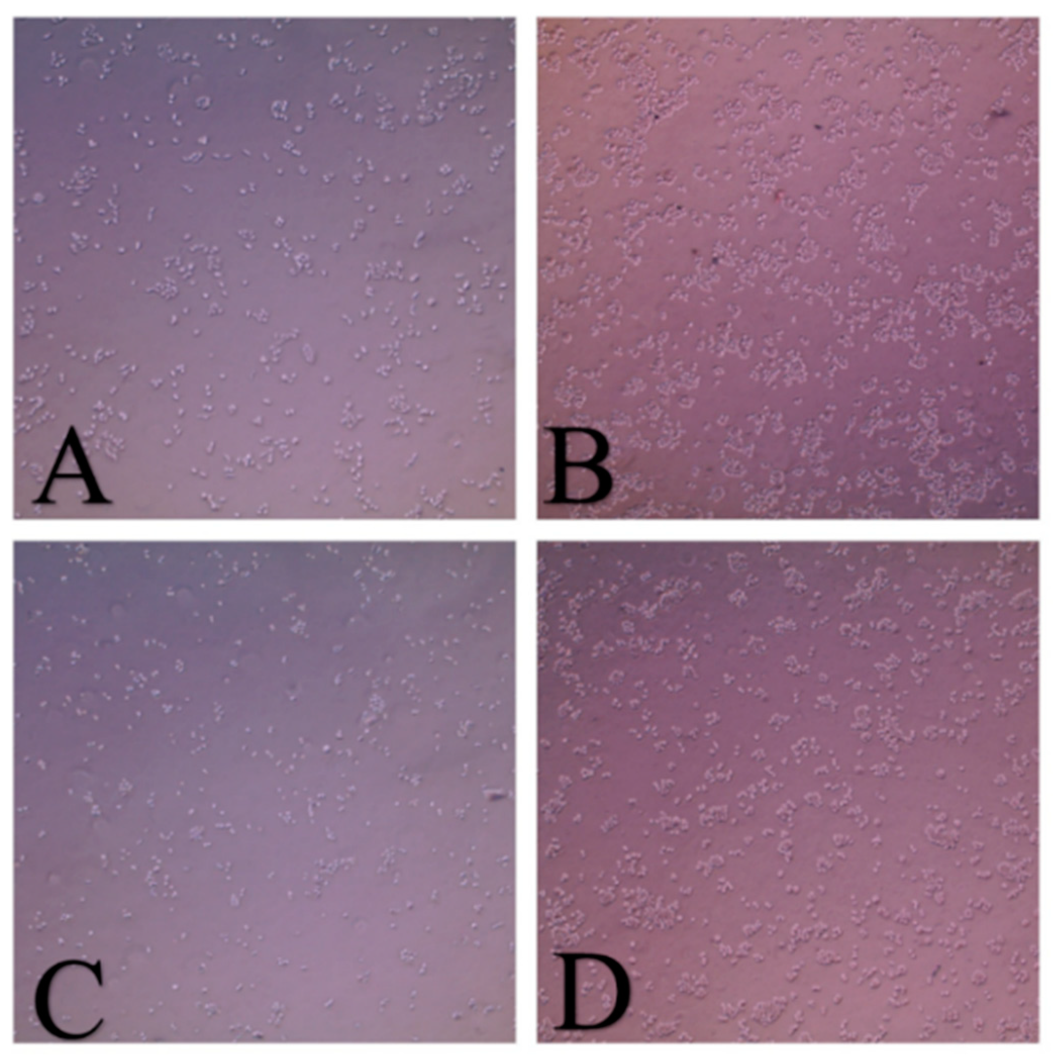 Molecules 26 01299 g005 Molecules 26 01299 g005