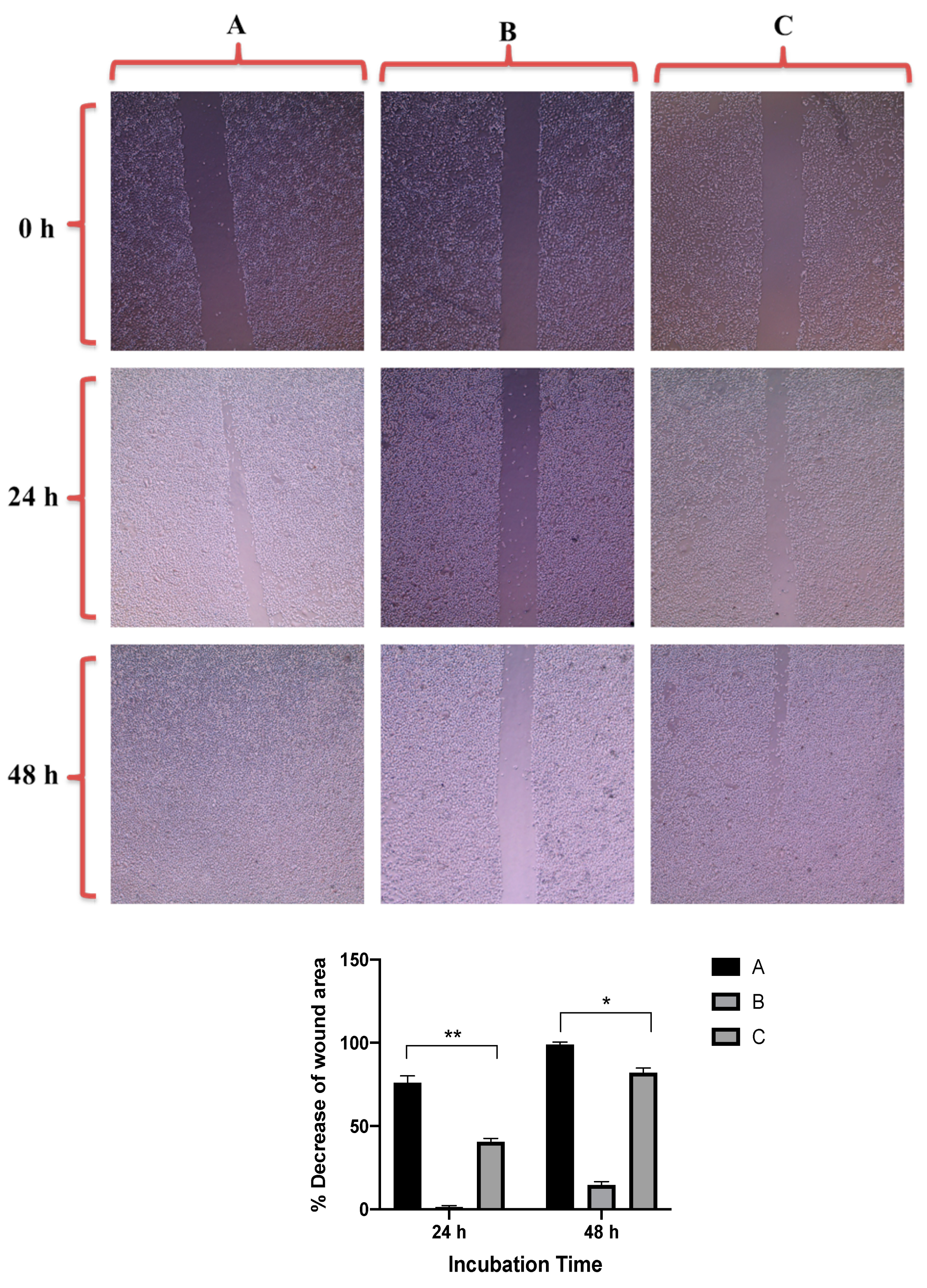 Molecules 26 01299 g008 Molecules 26 01299 g008