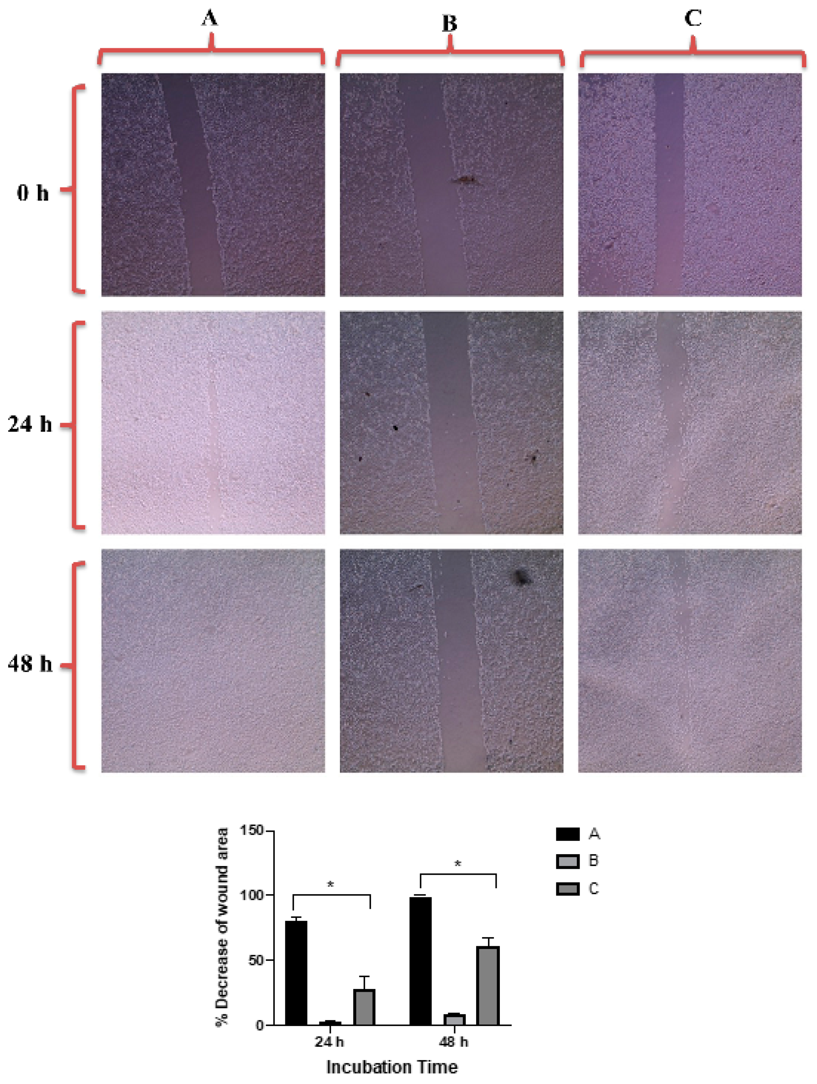Molecules 26 01299 g010 Molecules 26 01299 g010
