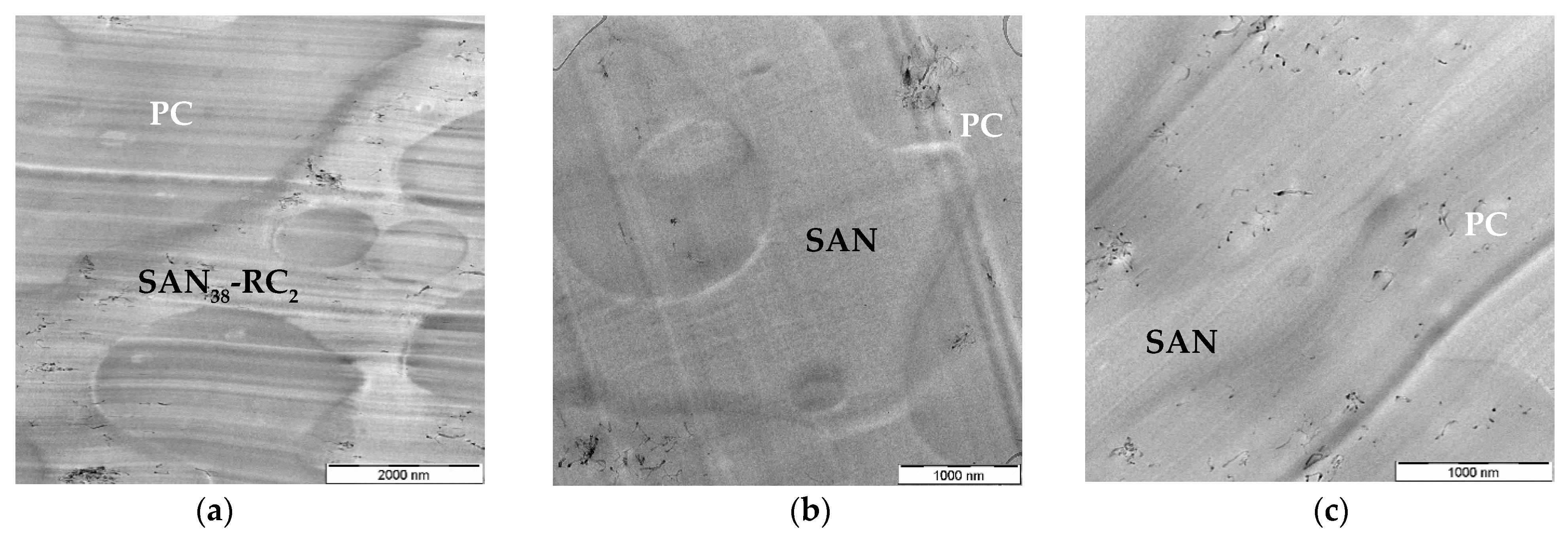 Molecules 26 01312 g002 Molecules 26 01312 g002