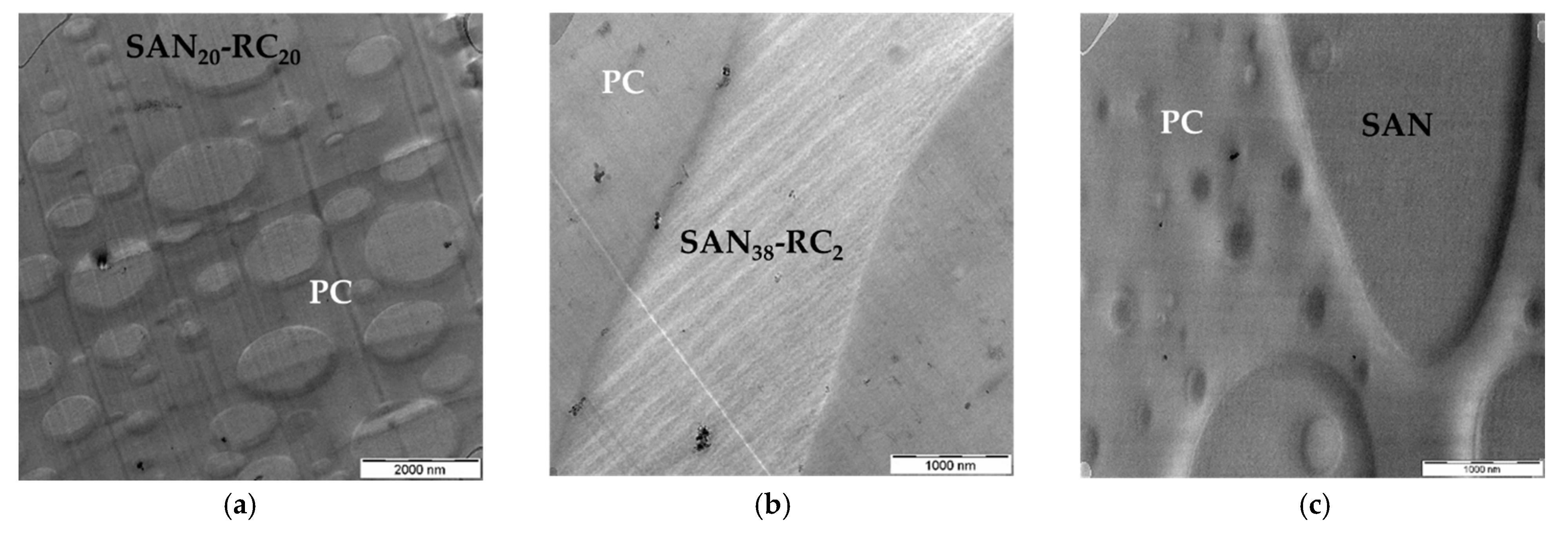 Molecules 26 01312 g005 Molecules 26 01312 g005