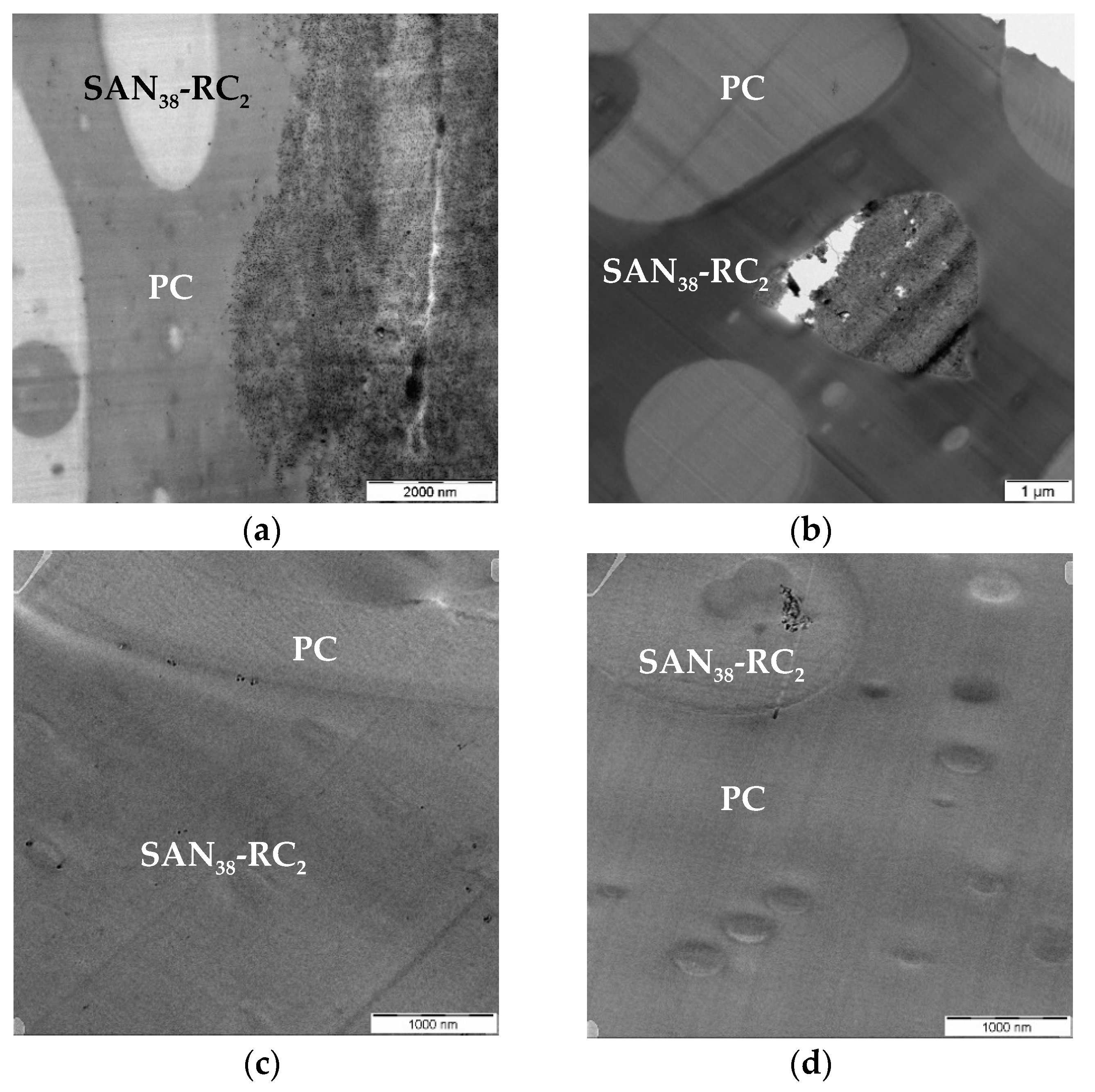 Molecules 26 01312 g006 Molecules 26 01312 g006