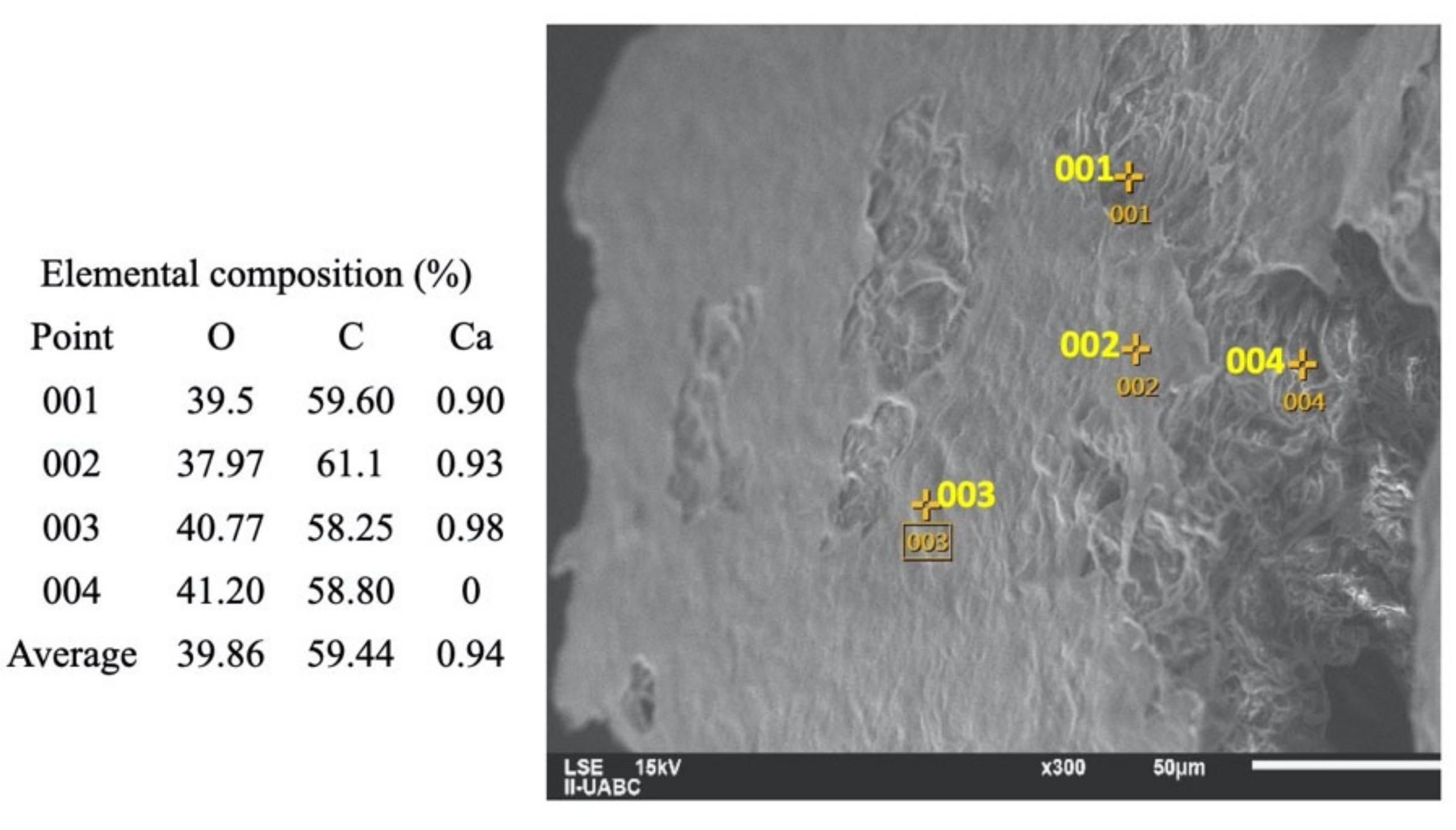 Molecules 26 01348 g003