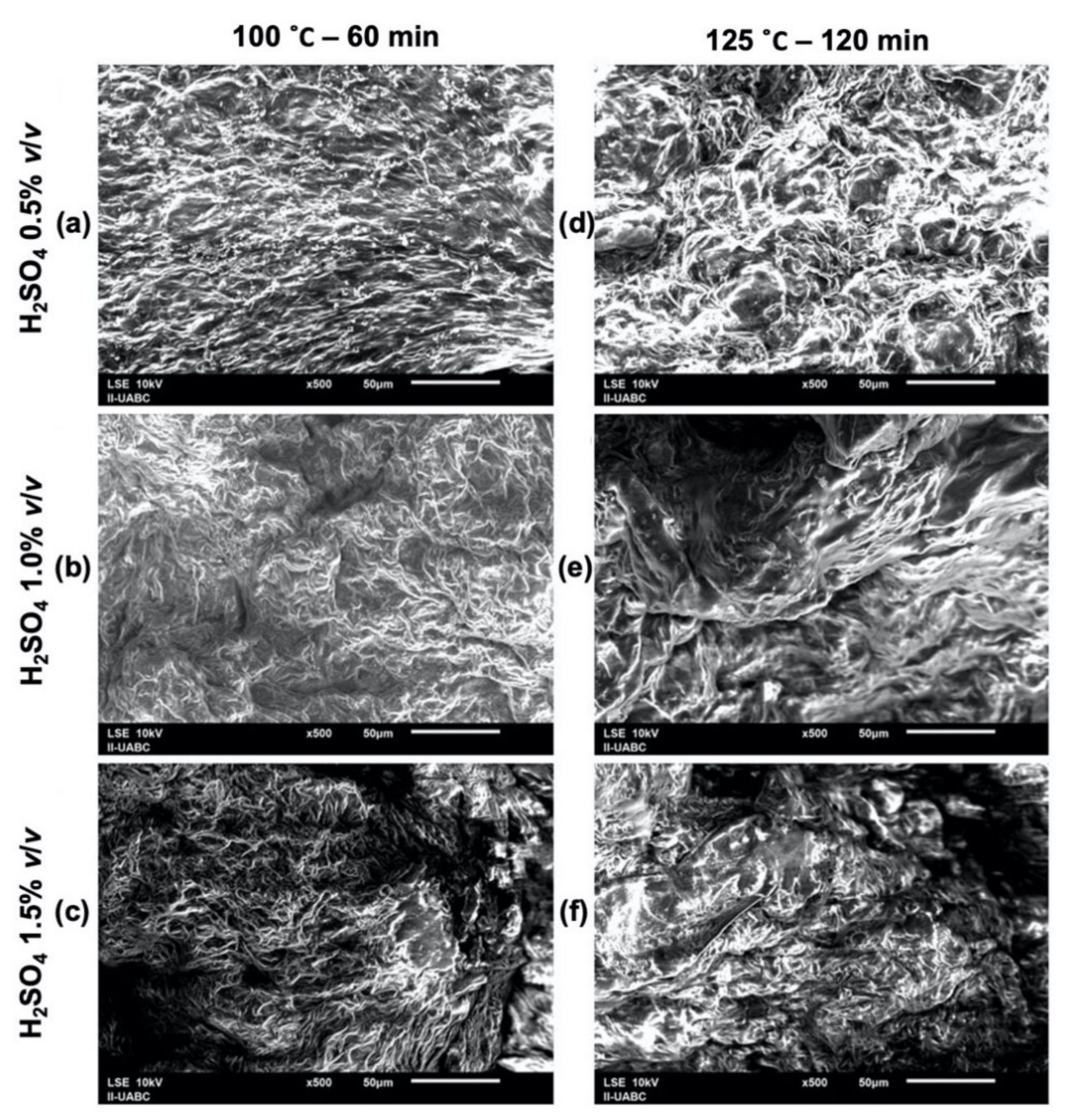 Molecules 26 01348 g004