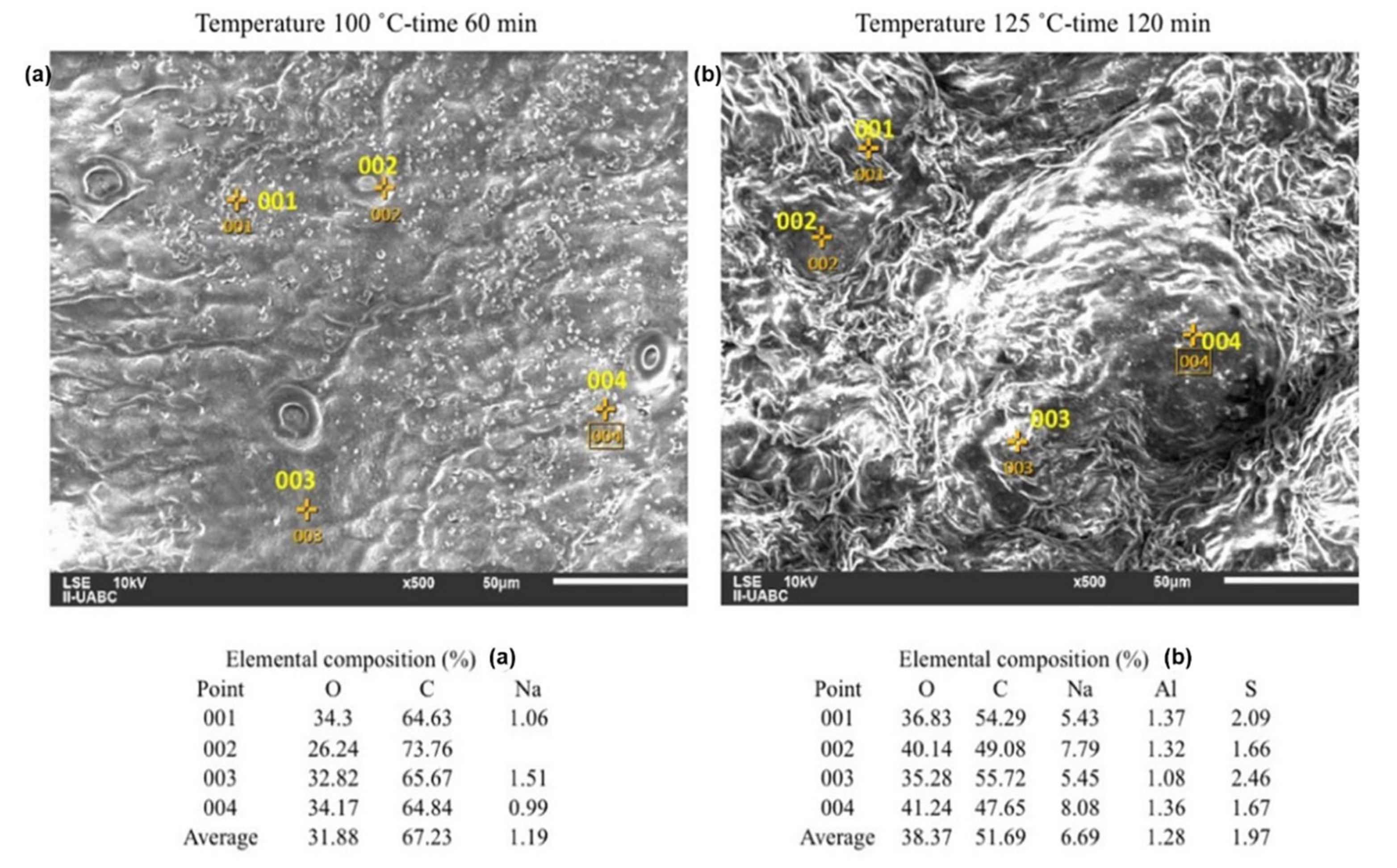Molecules 26 01348 g005