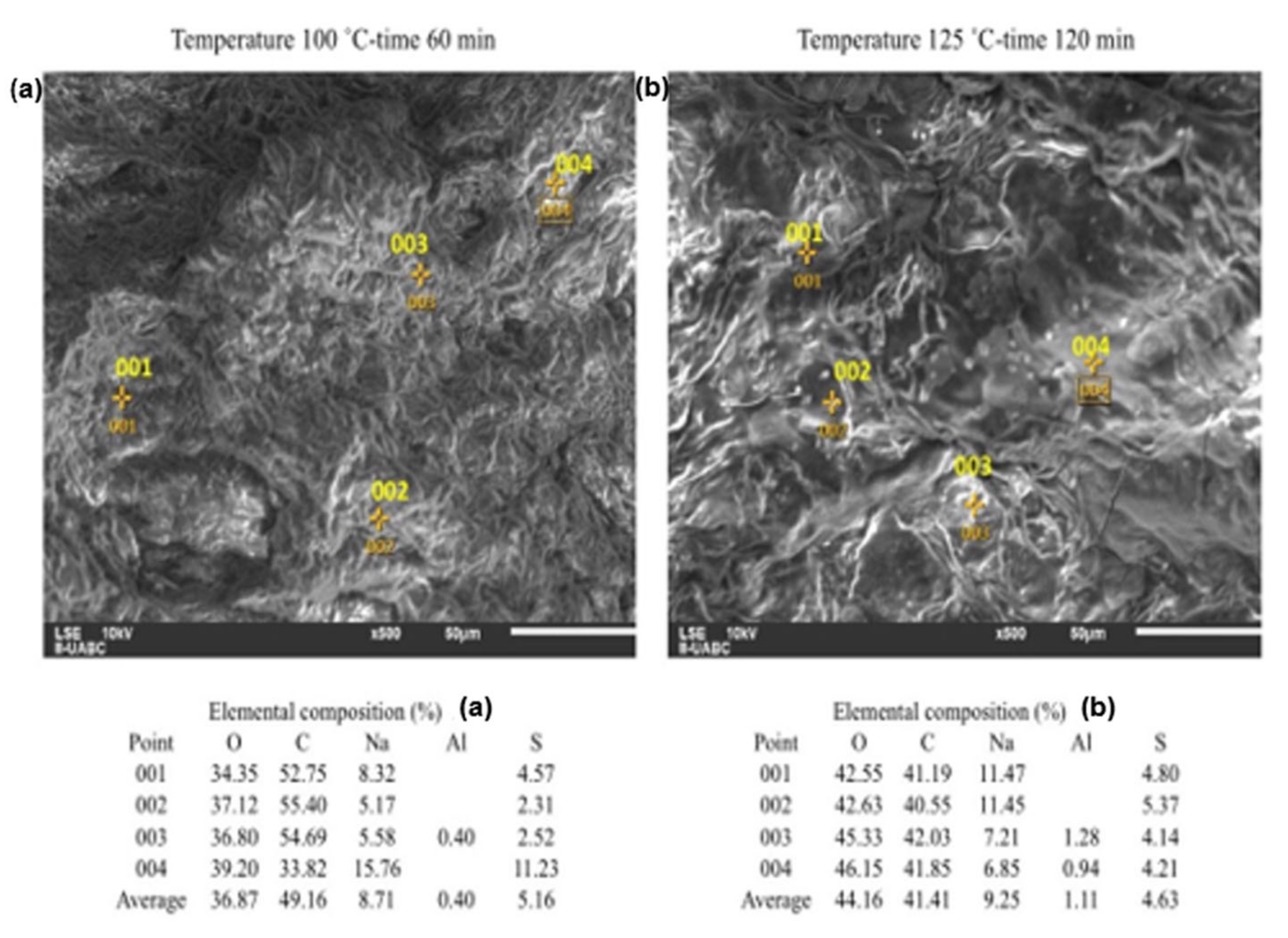 Molecules 26 01348 g006