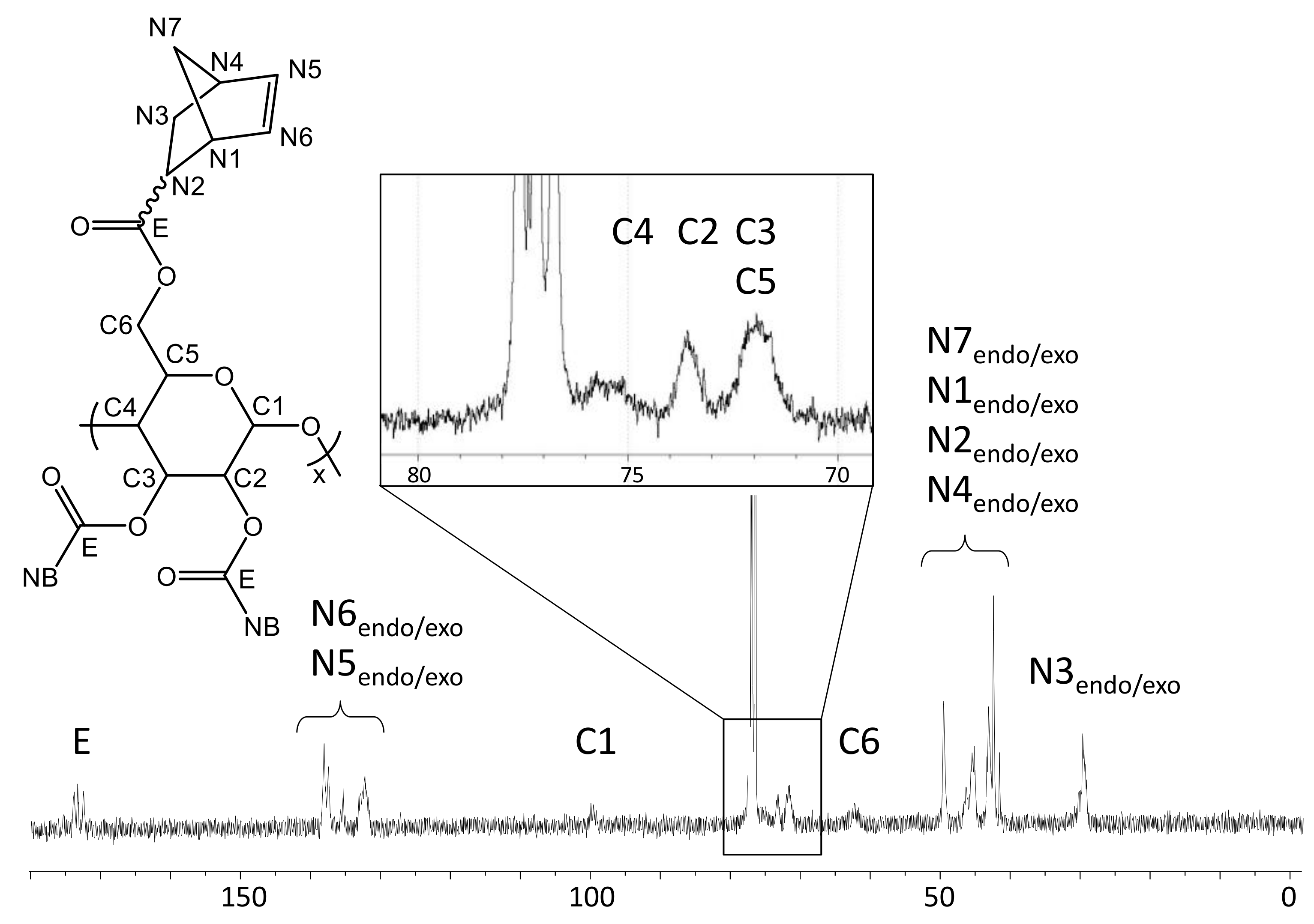 Molecules 26 01358 g004