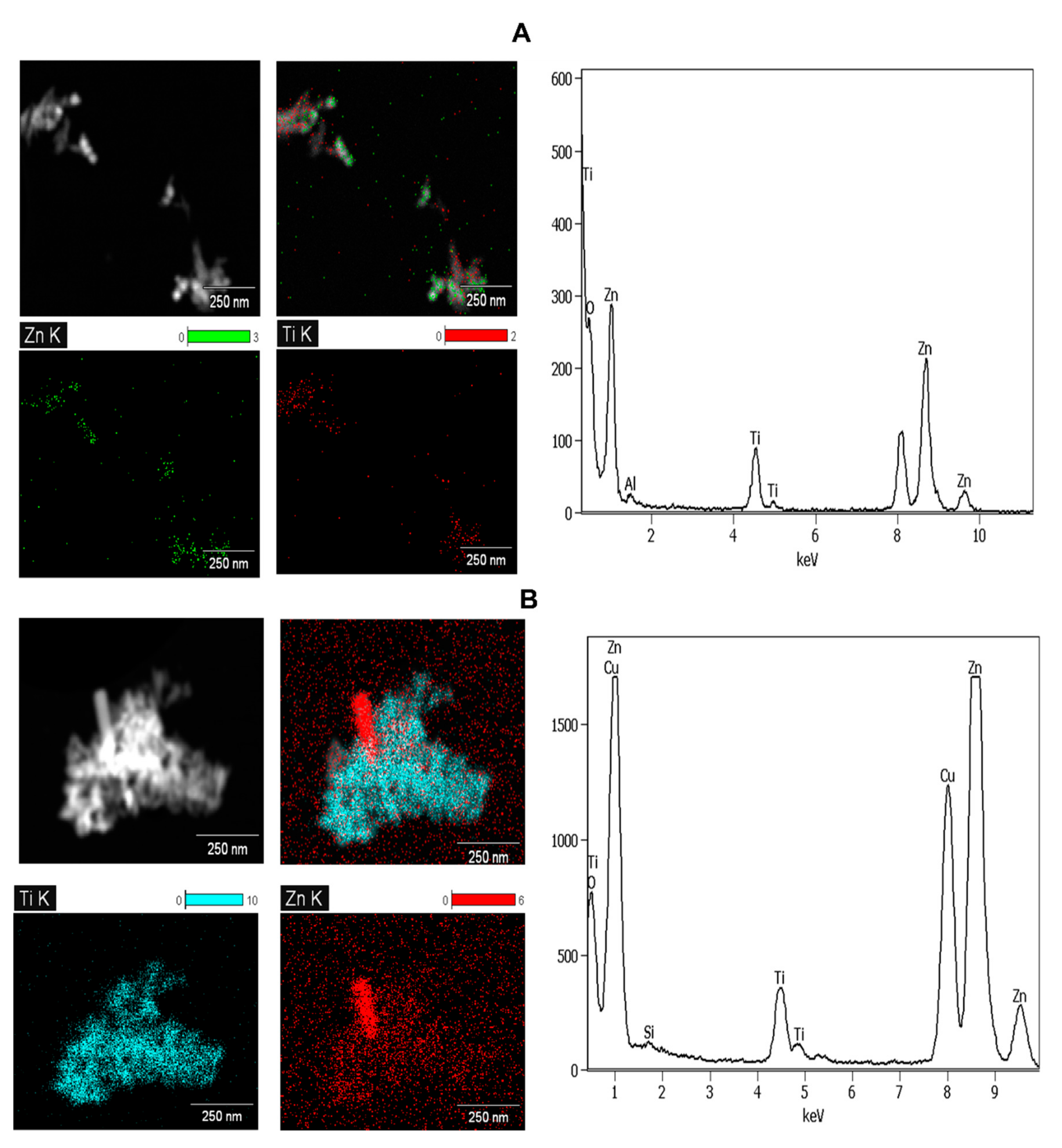 Molecules 26 01370 g002