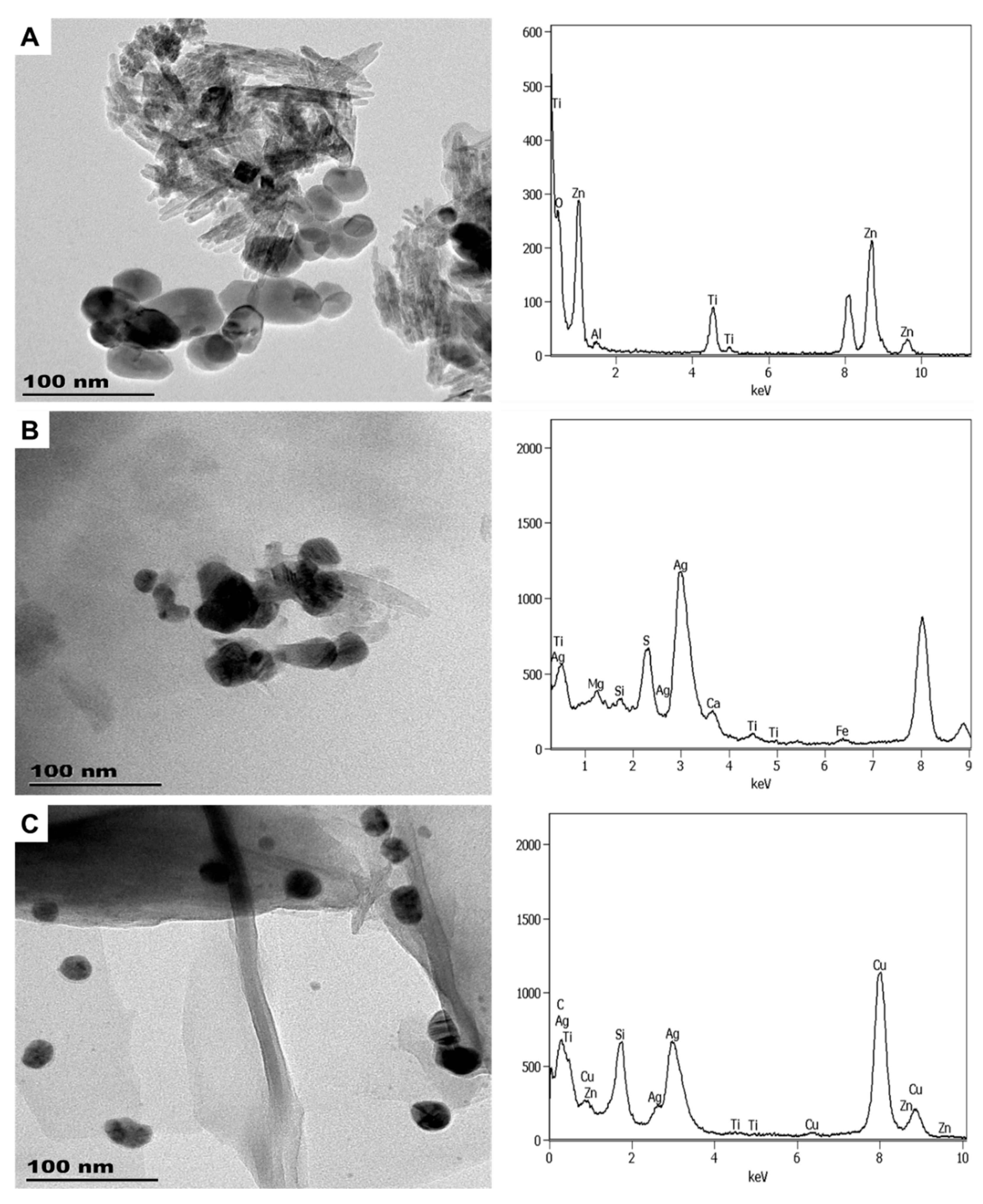 Molecules 26 01370 g004