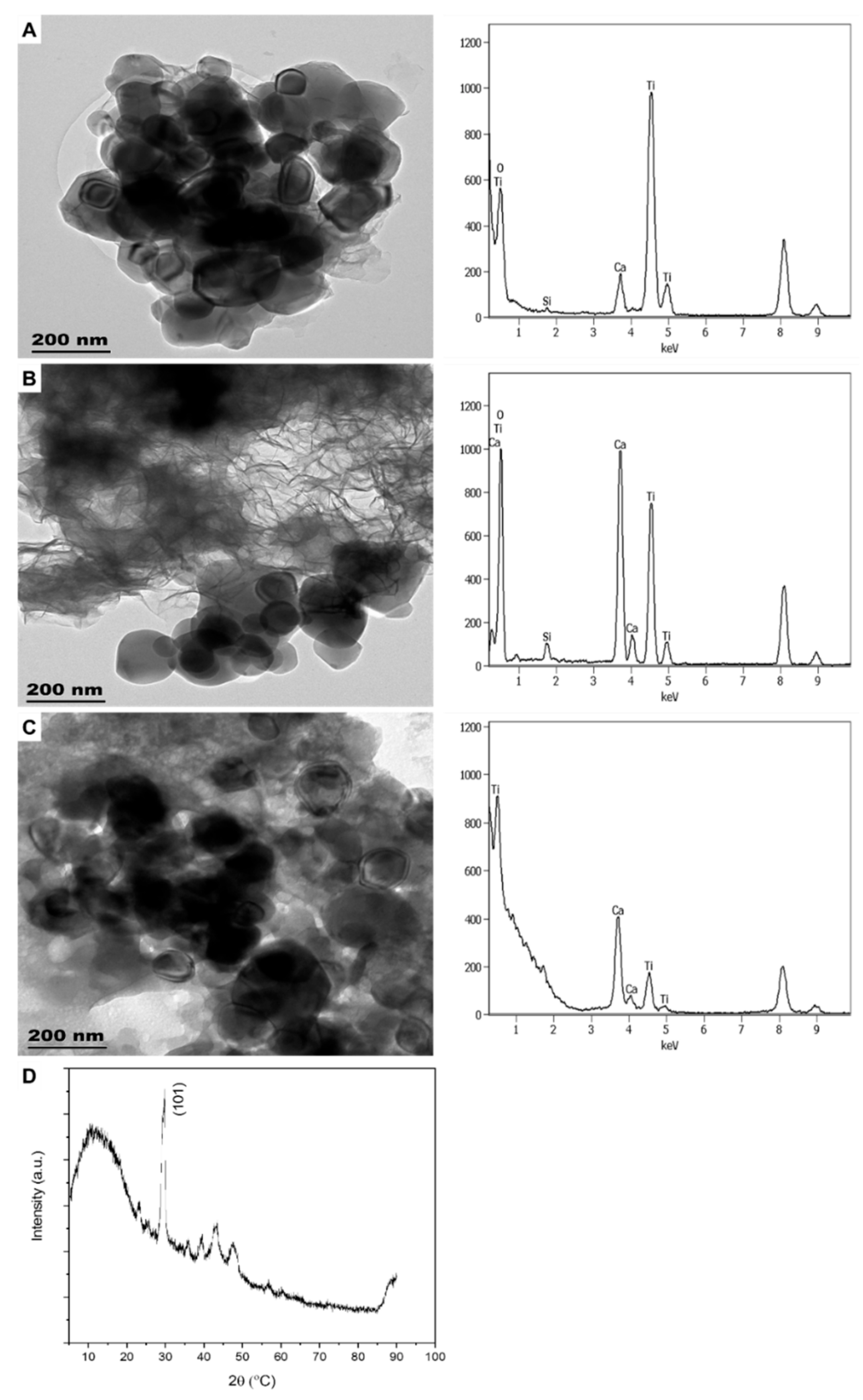 Molecules 26 01370 g005