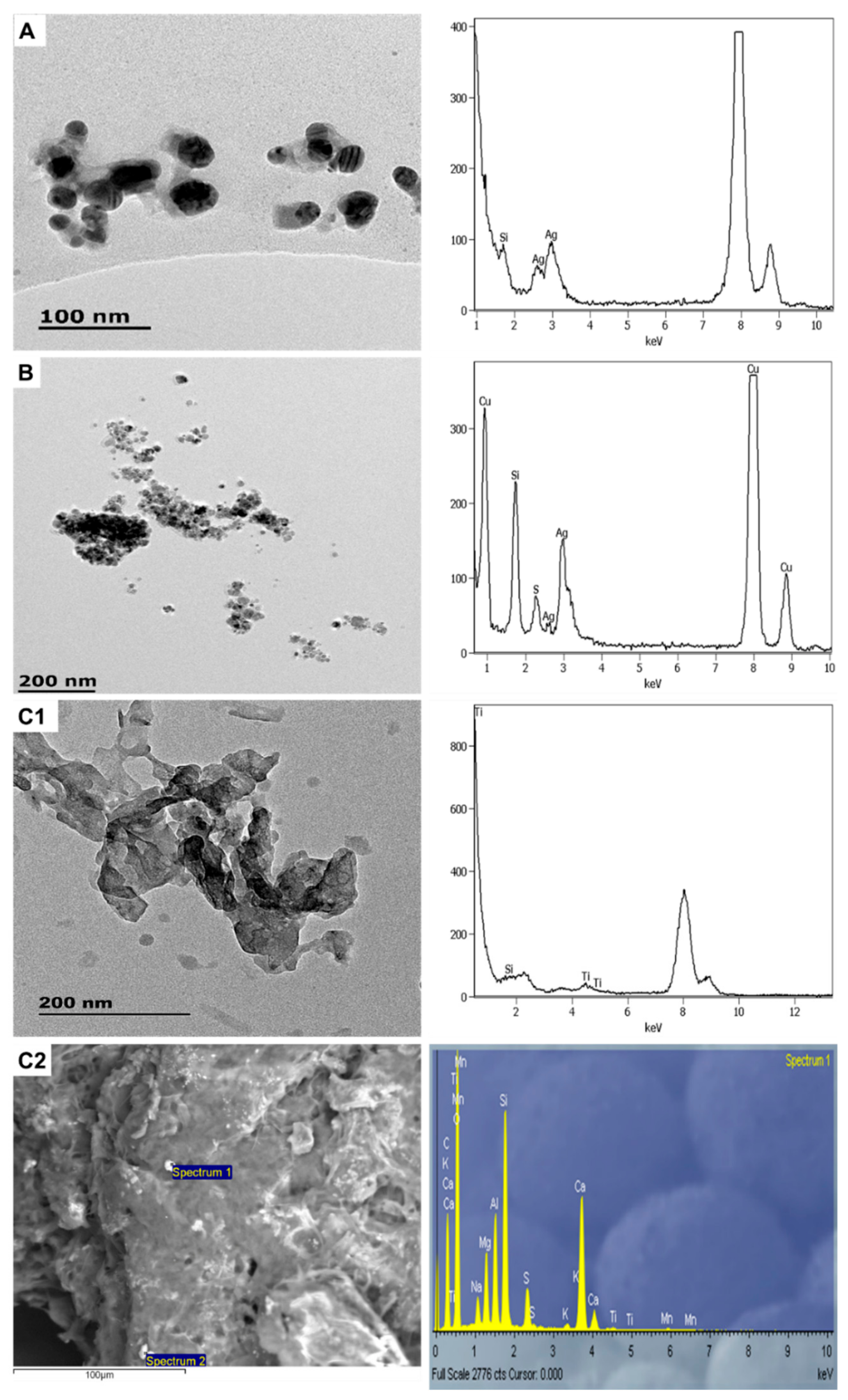 Molecules 26 01370 g006