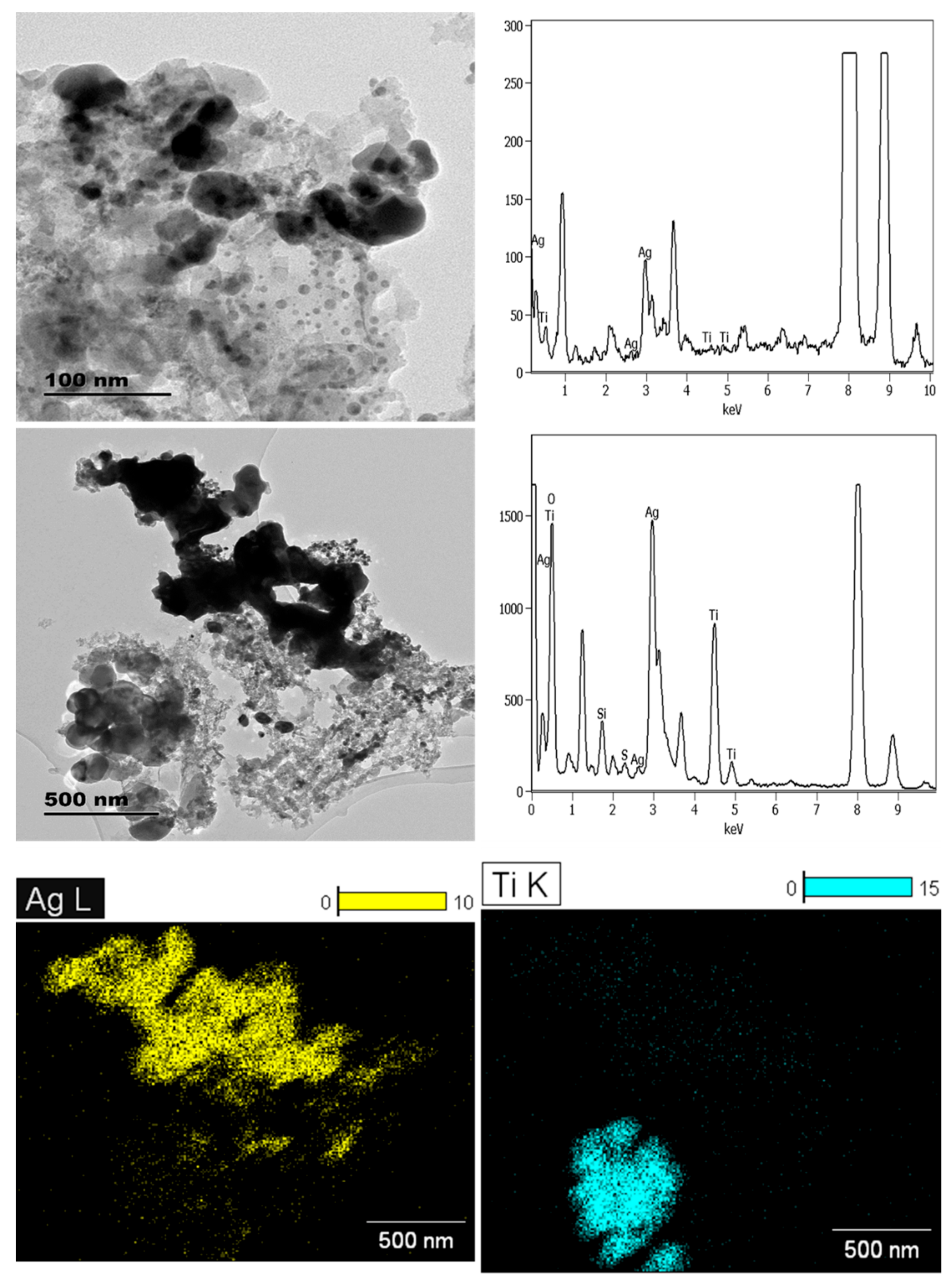 Molecules 26 01370 g007
