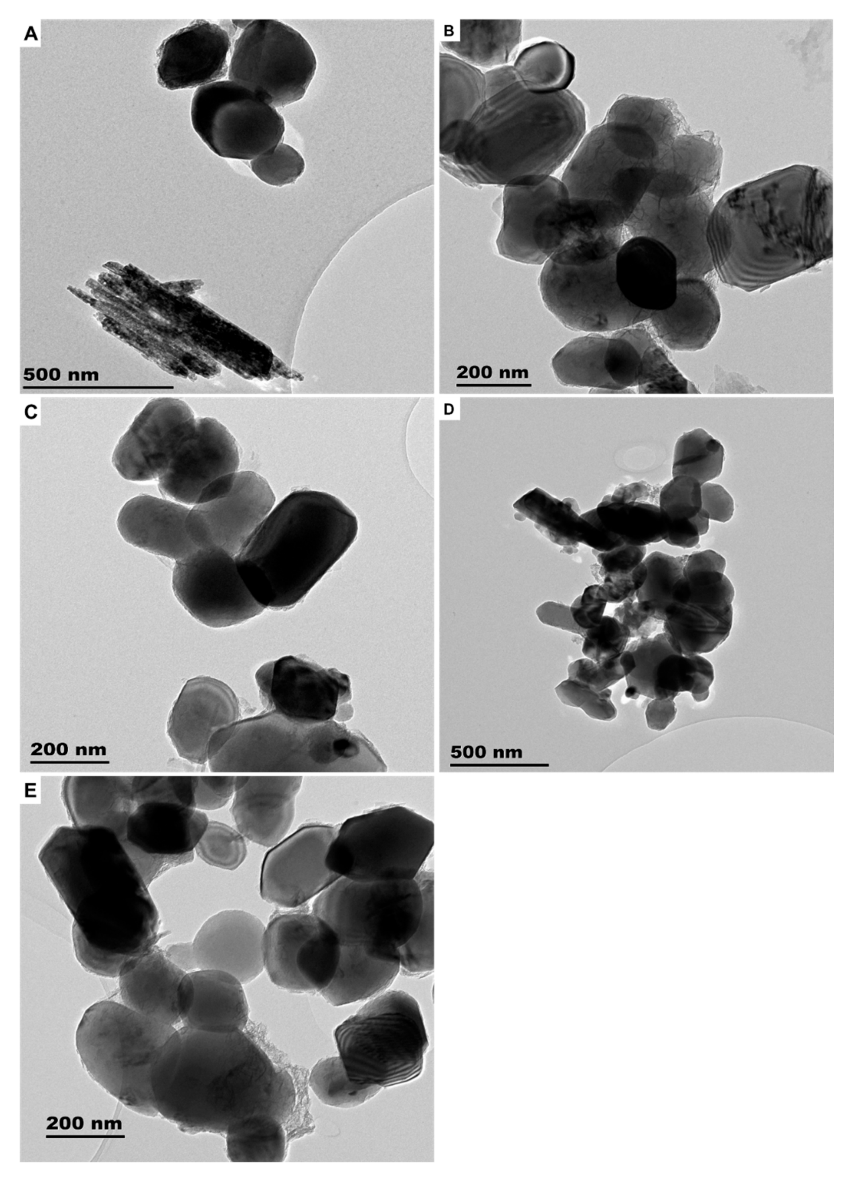Molecules 26 01370 g009