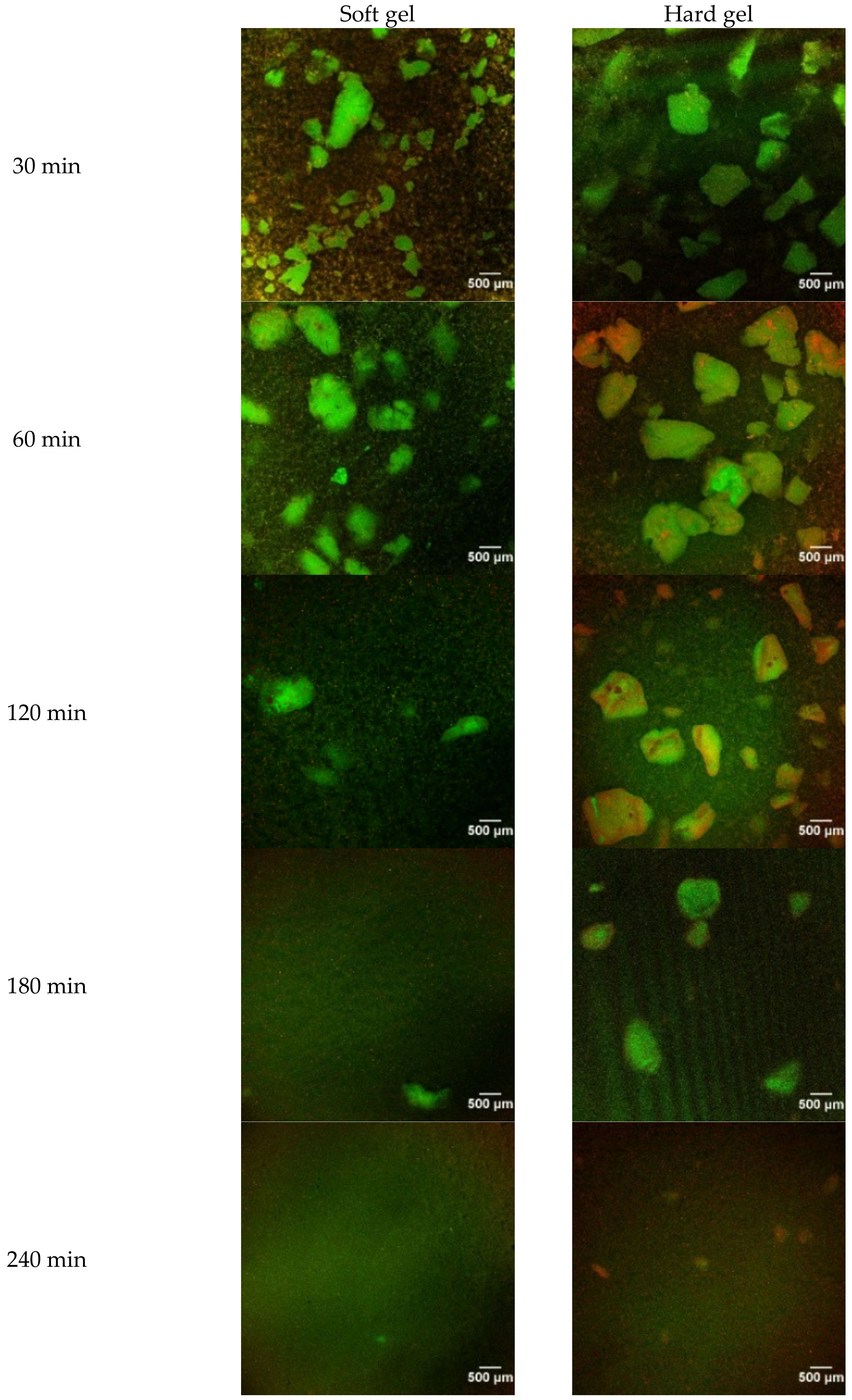 Molecules 26 01379 g002 Molecules 26 01379 g002