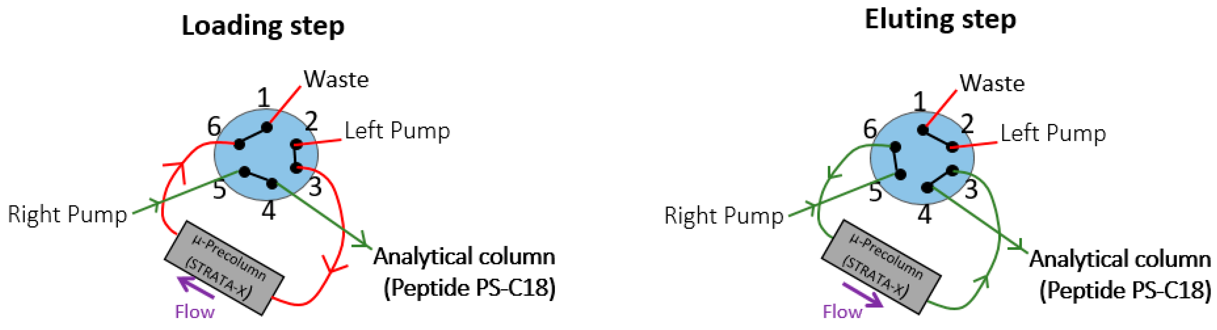 Molecules 26 01383 g008 Molecules 26 01383 g008