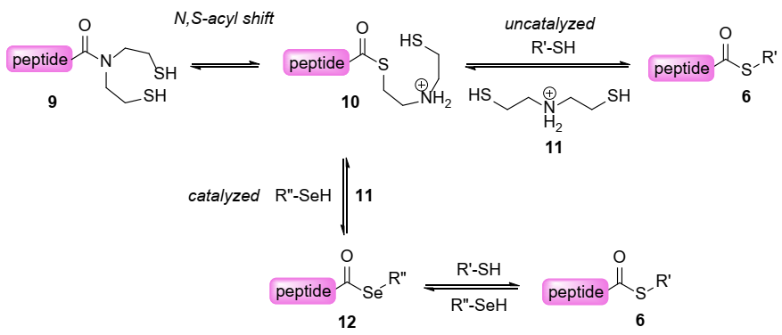 Molecules 26 01386 g002