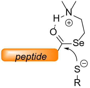 Molecules 26 01386 g005