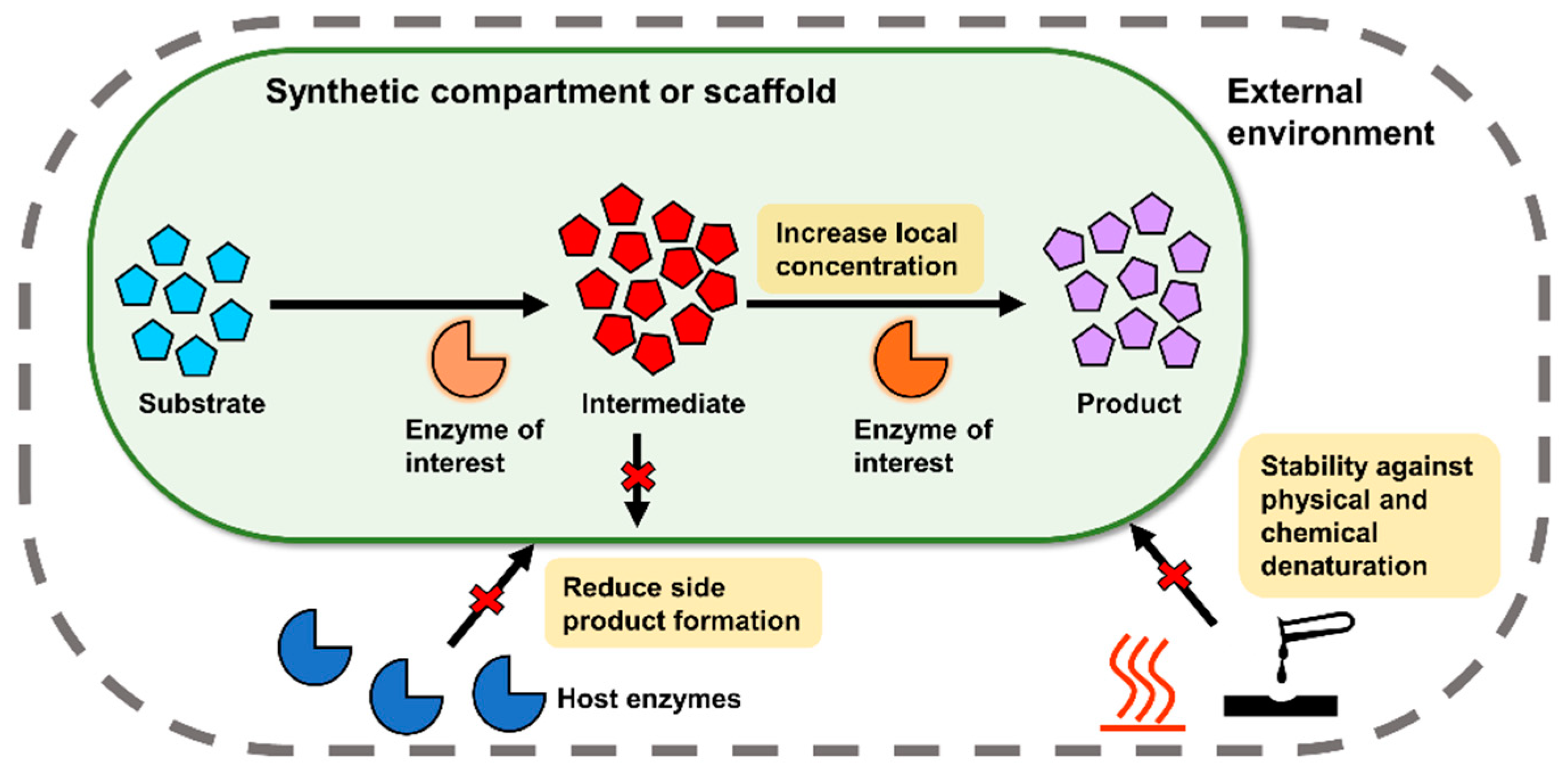 Molecules | Free Full-Text | Genetically Encodable Scaffolds for Optimizing  Enzyme Function | HTML