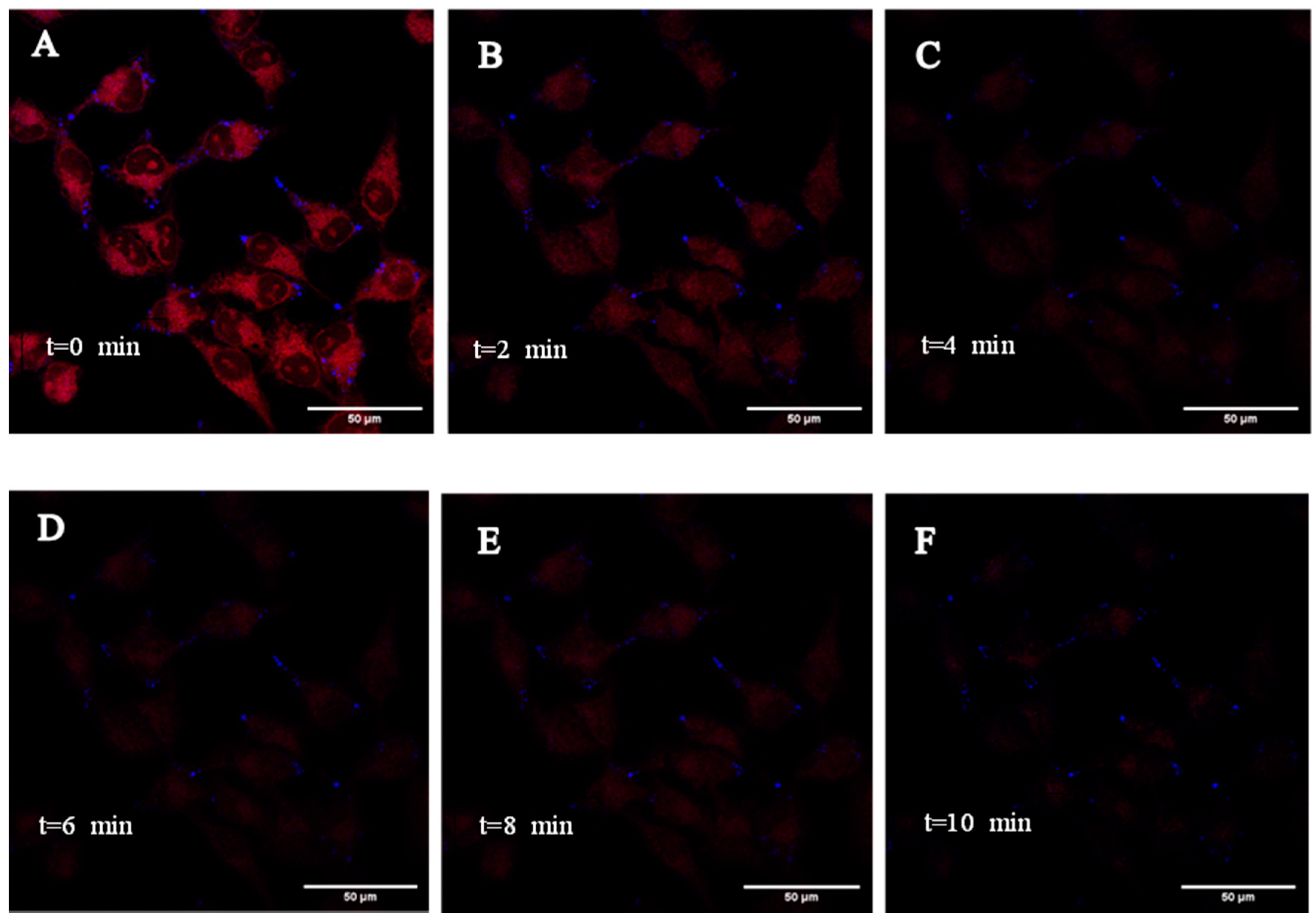 Molecules 26 01400 g008 Molecules 26 01400 g008