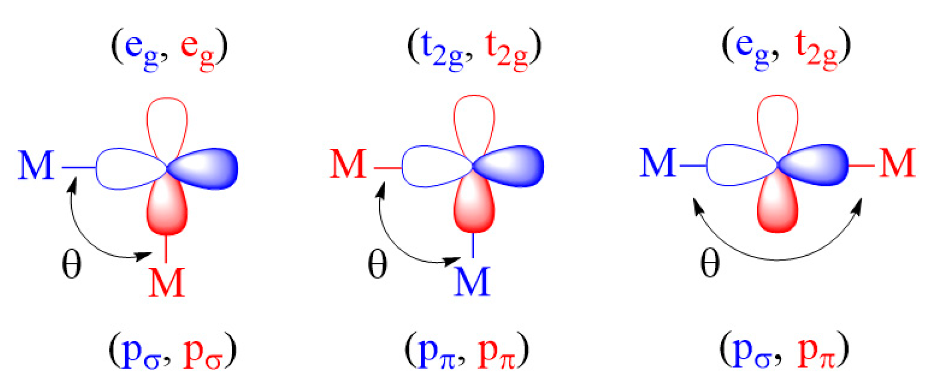 Molecules 26 01410 g005