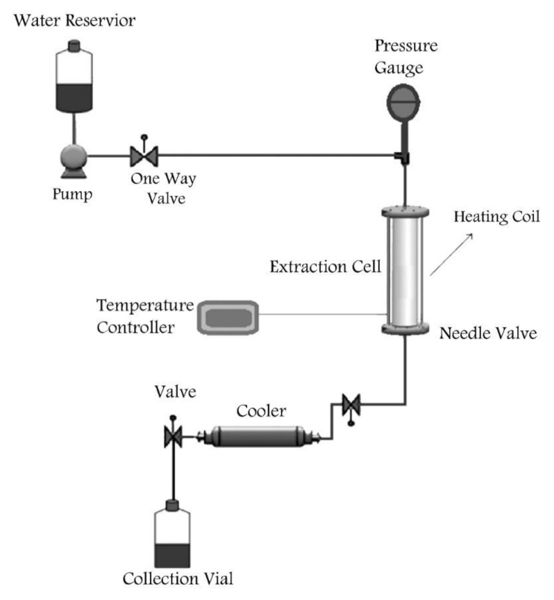 Molecules 26 01413 g004