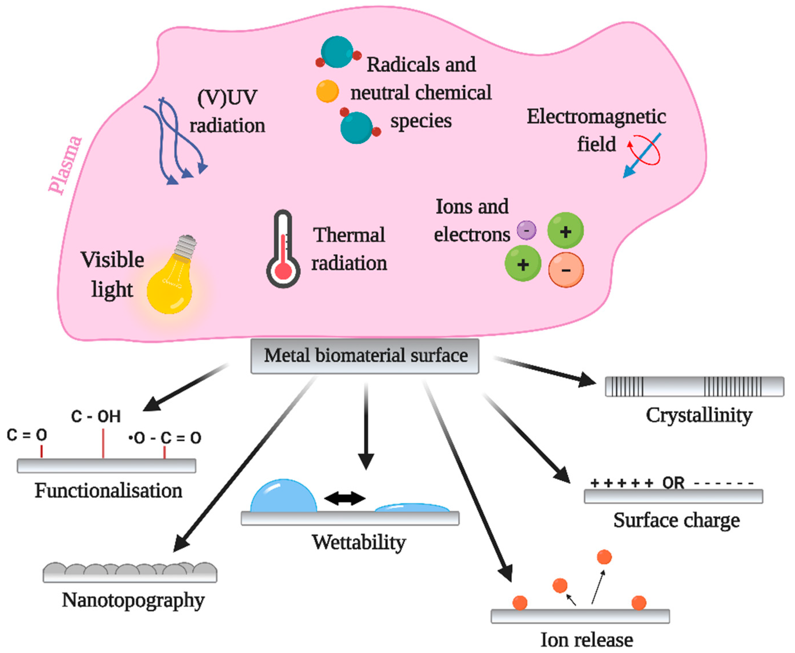 Molecules 26 01418 g003 Molecules 26 01418 g003