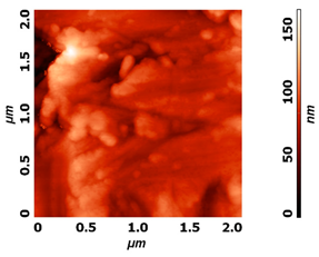 Molecules 26 01418 i001 Molecules 26 01418 i001
