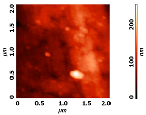 Molecules 26 01418 i003 Molecules 26 01418 i003