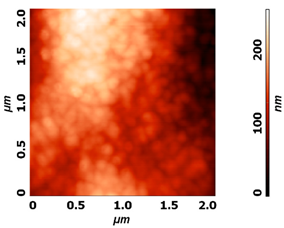 Molecules 26 01418 i004 Molecules 26 01418 i004
