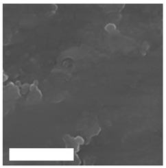 Molecules 26 01418 i005 Molecules 26 01418 i005