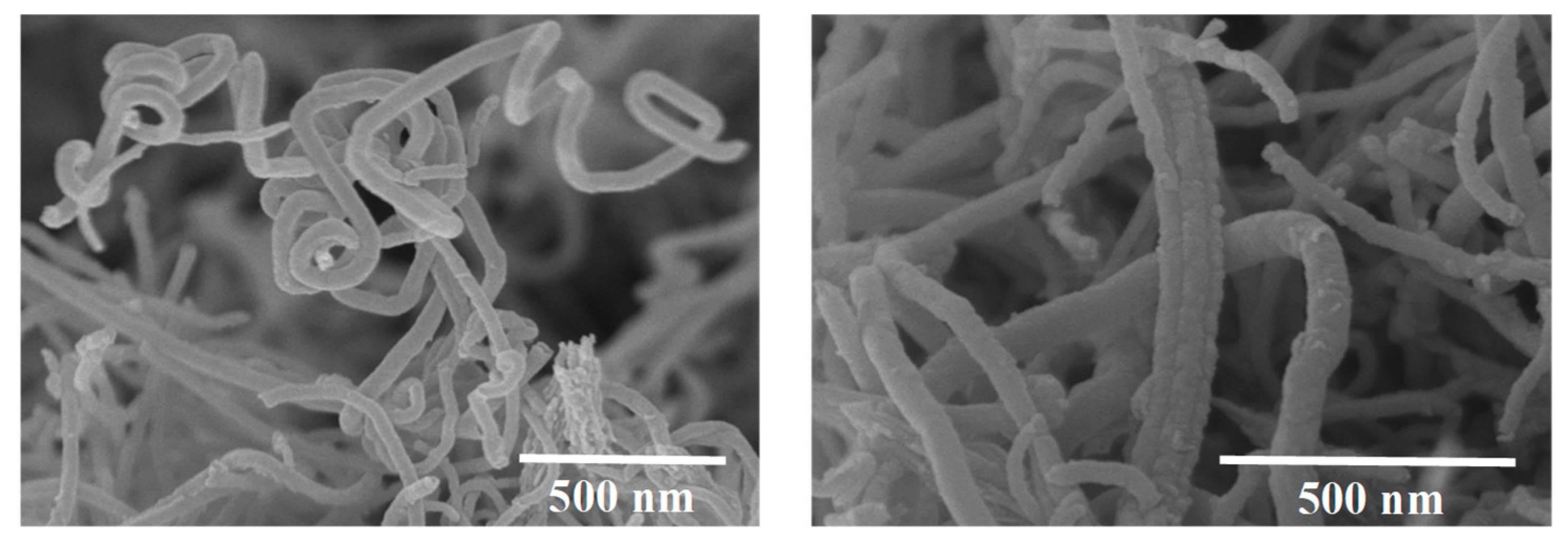 Molecules 26 01430 g003