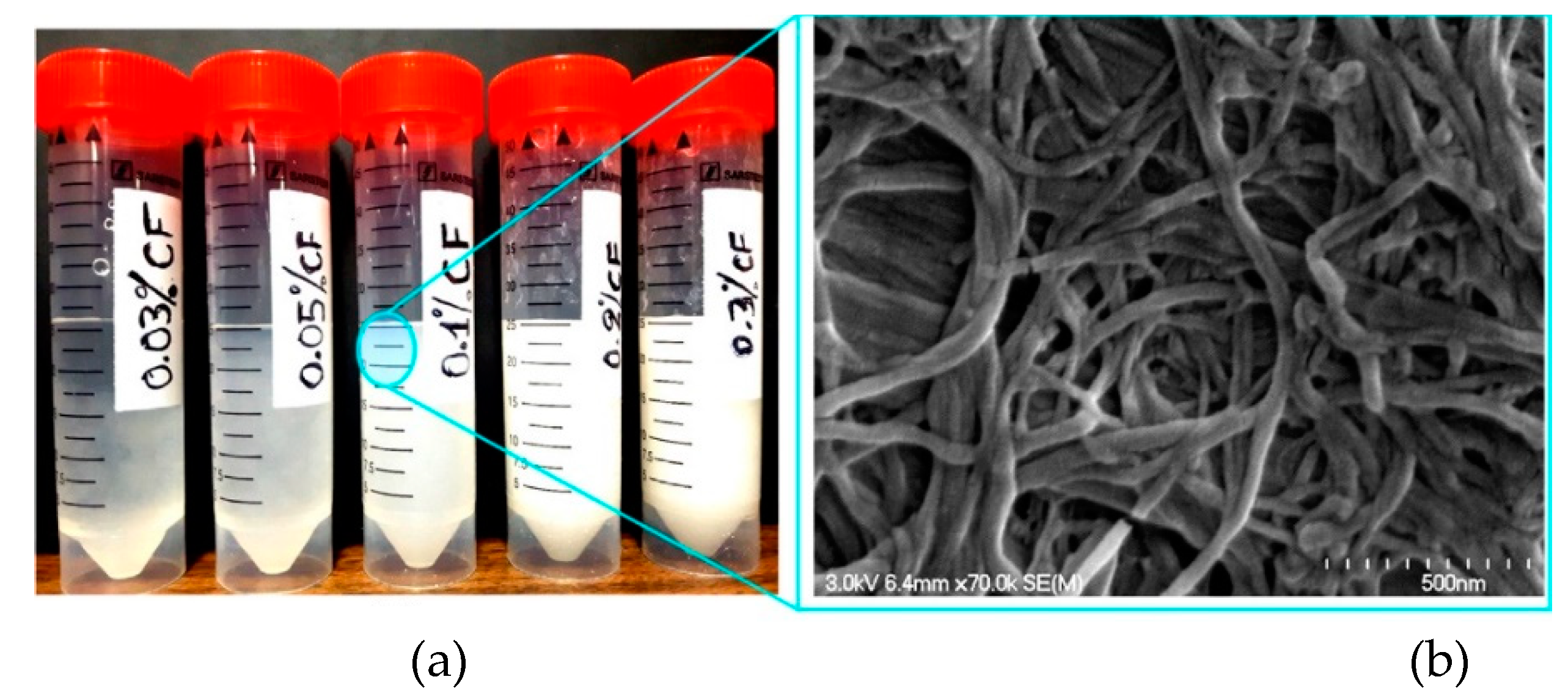 Molecules 26 01430 g005